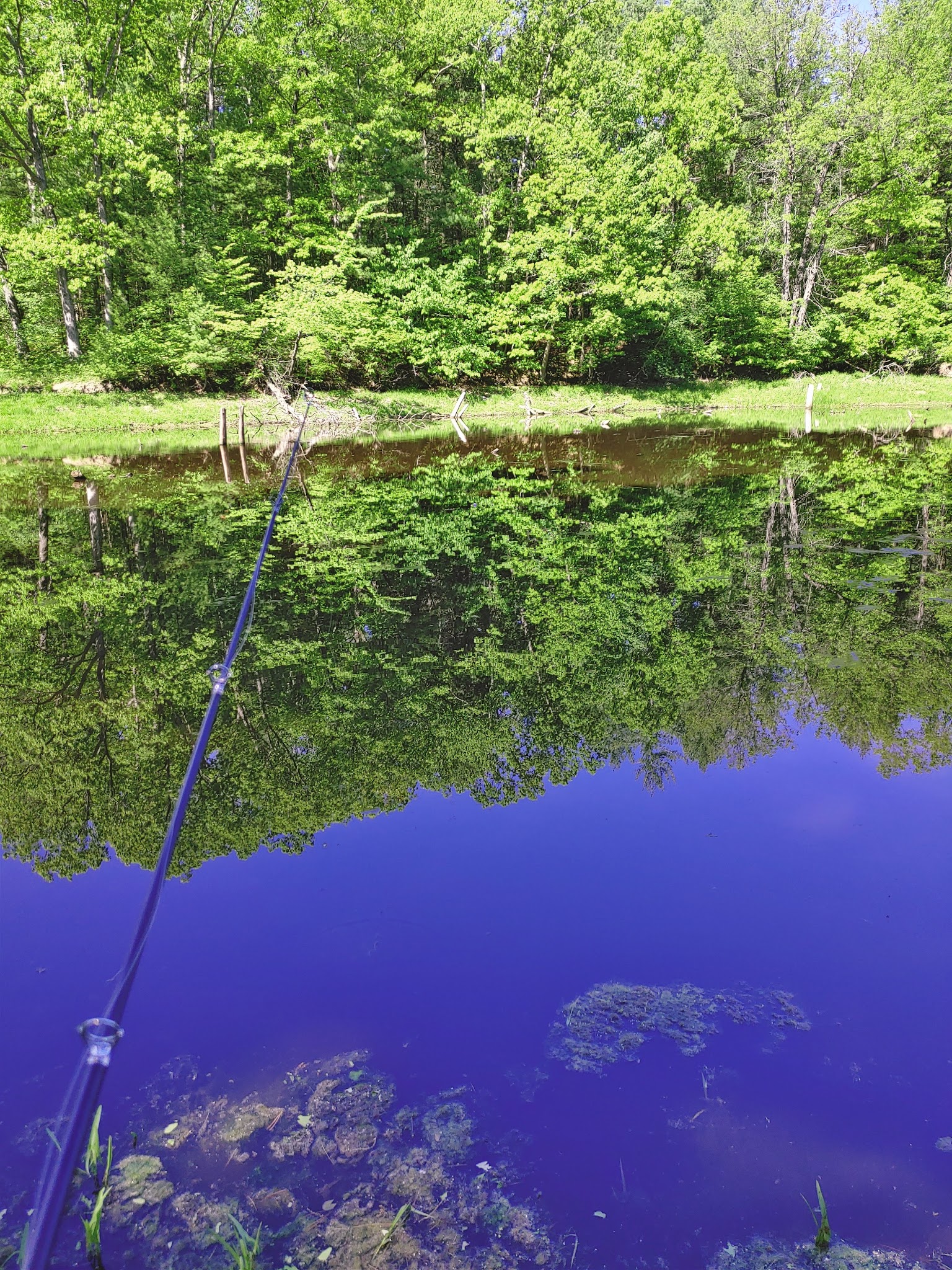 Black Creek State Forest Campground