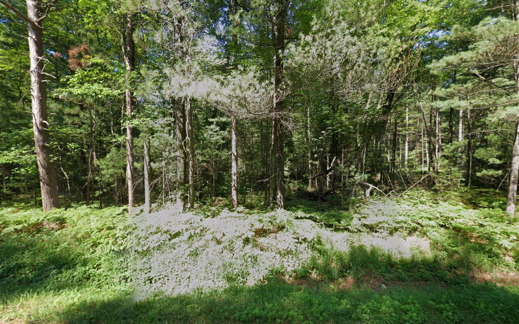 Black Creek State Forest Campground