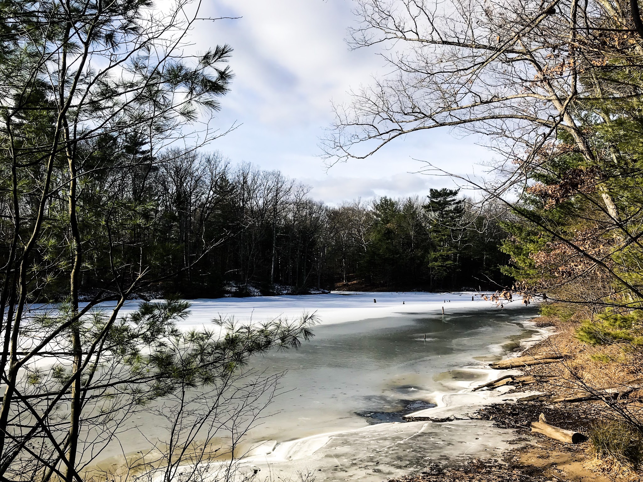 Black Creek State Forest Campground