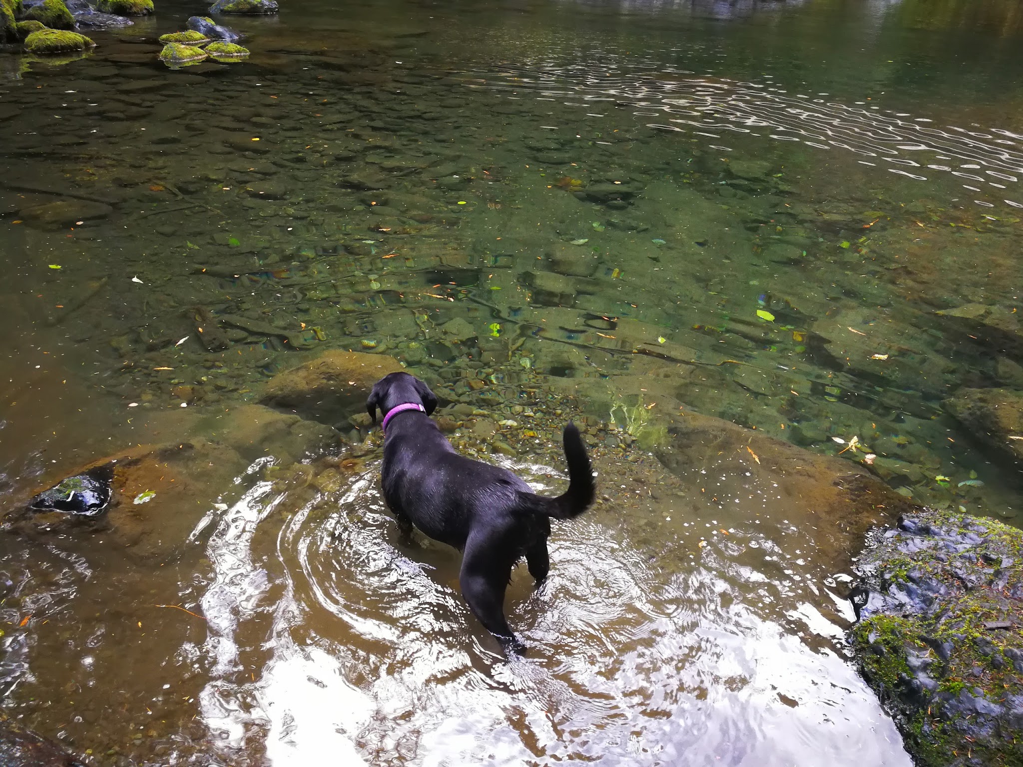 Falls View Campground