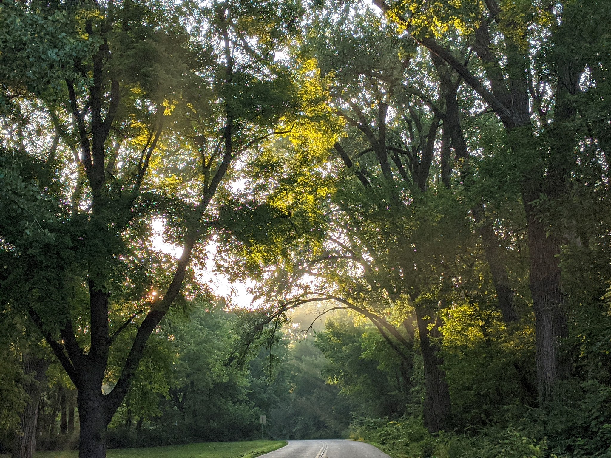 Black Hawk State Park