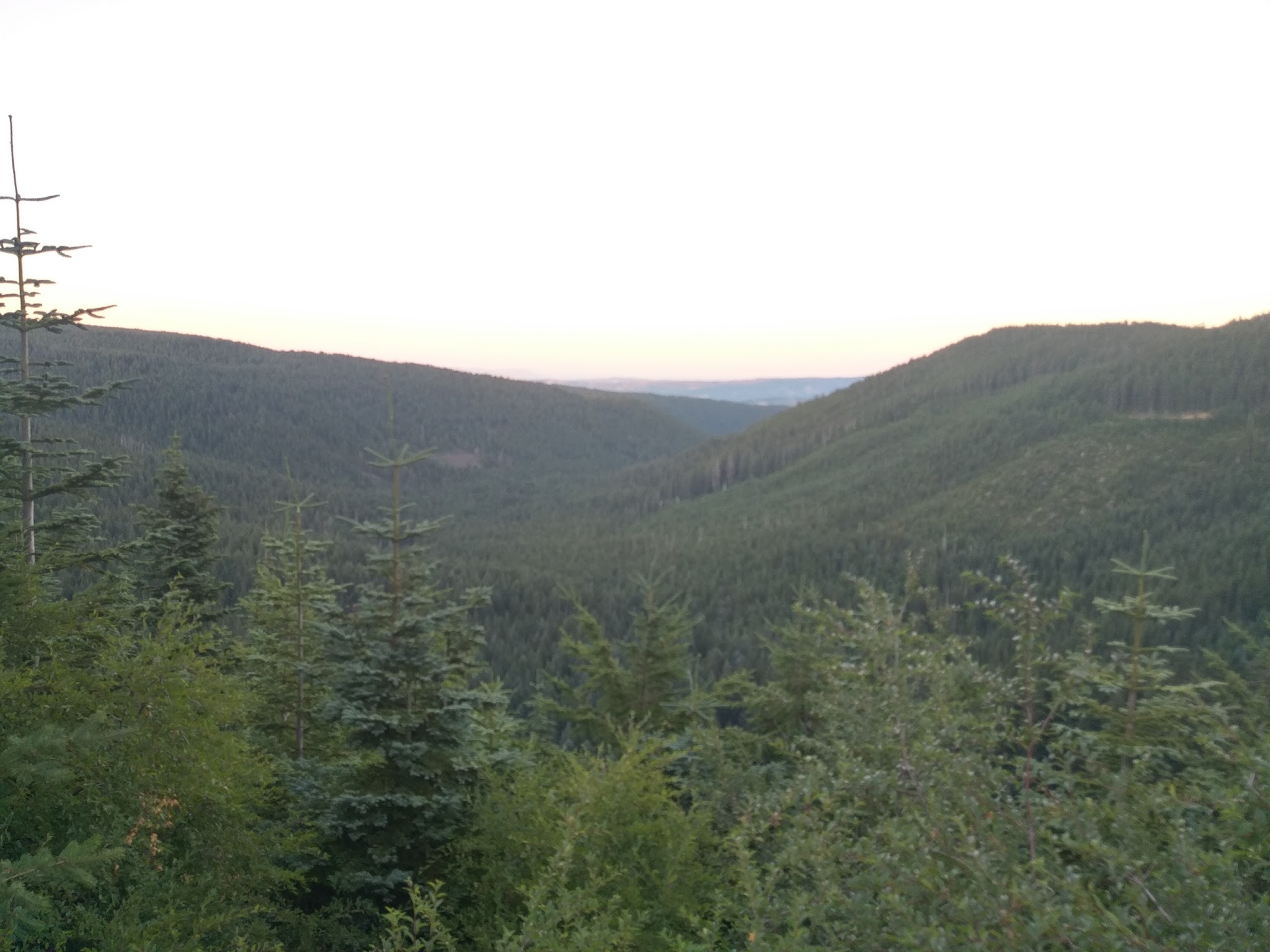 Black Lake Campground & Day Use Area