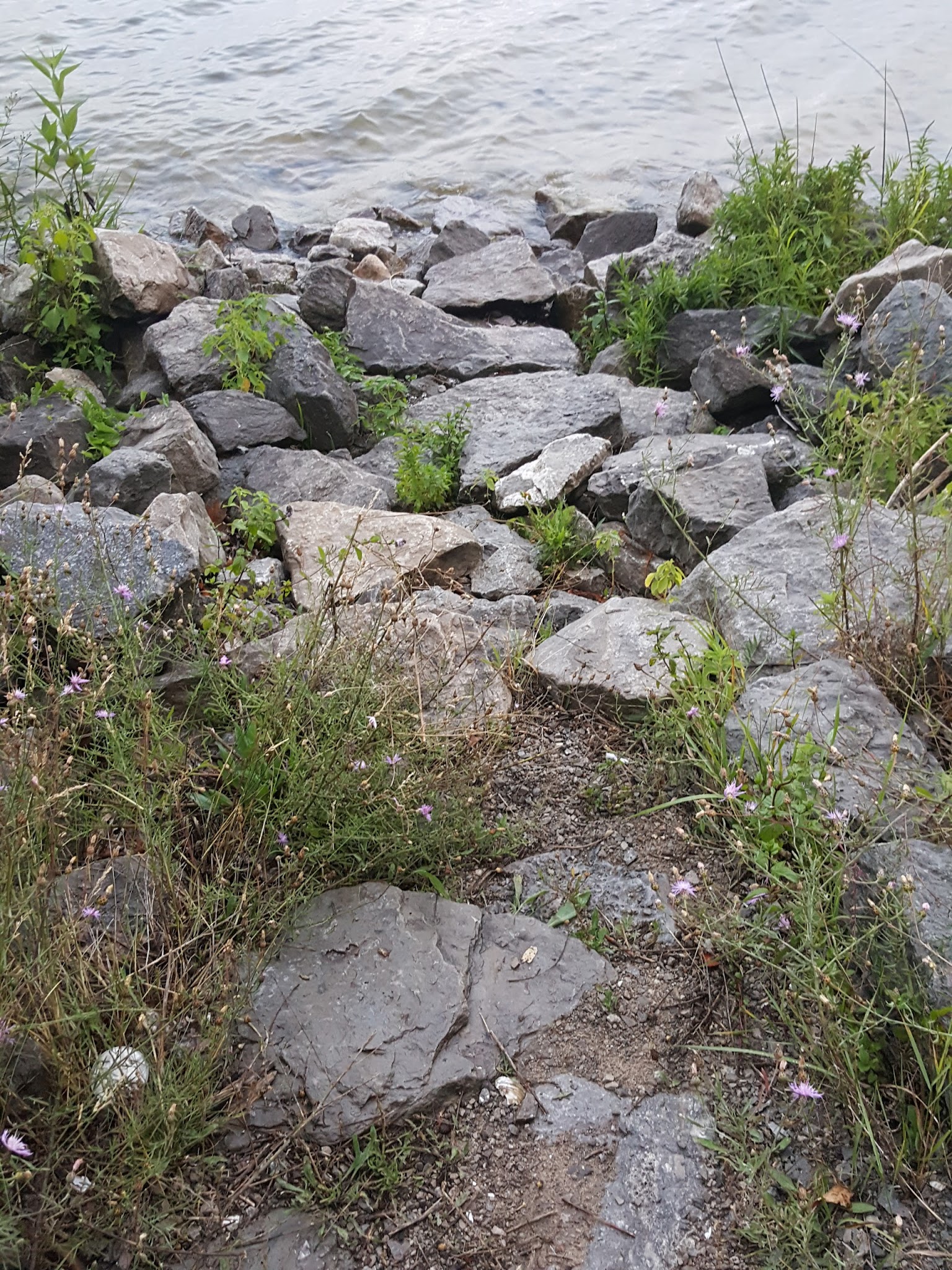 Black Lake State Forest Campground-Lower