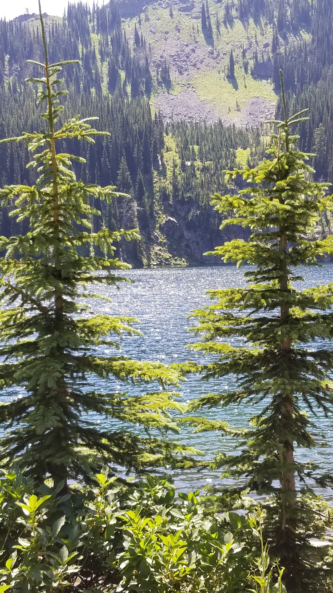 Black Lake Campground