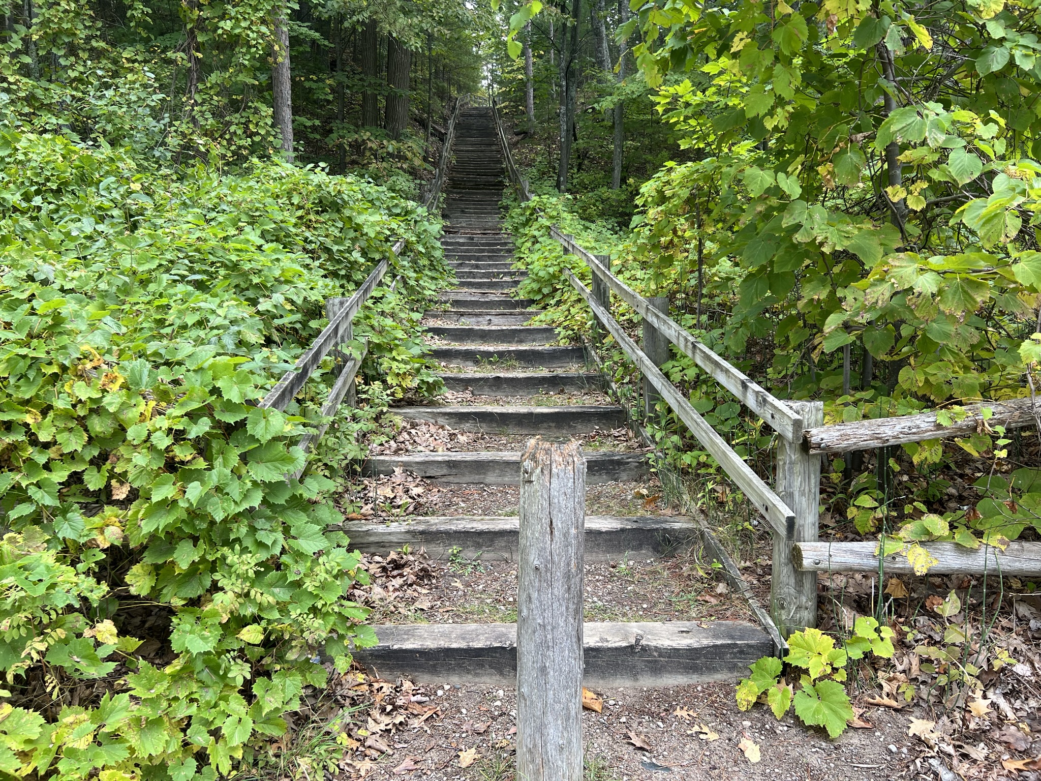 Black Lake State Forest Campground-Lower