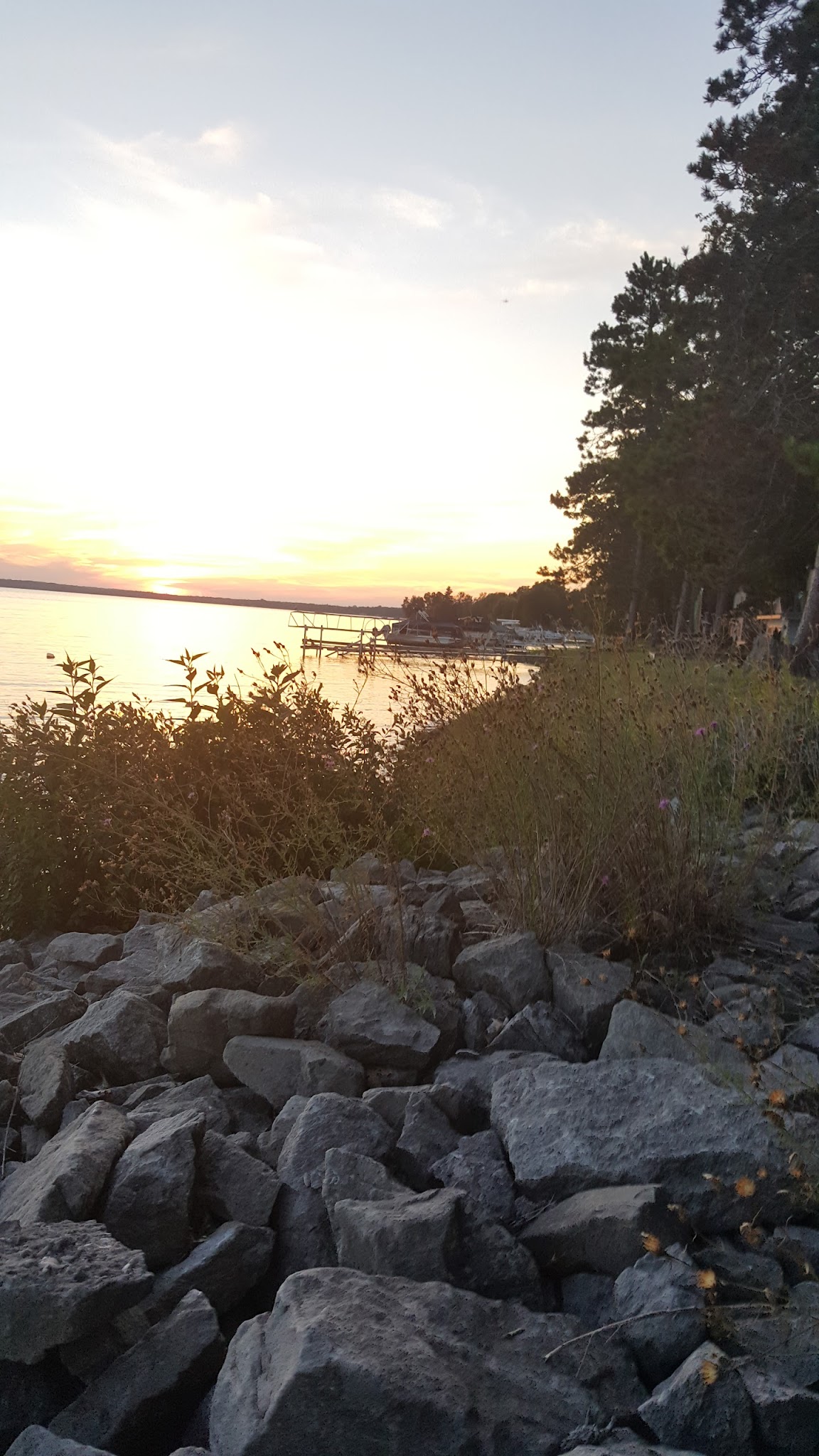 Black Lake State Forest Campground-Lower