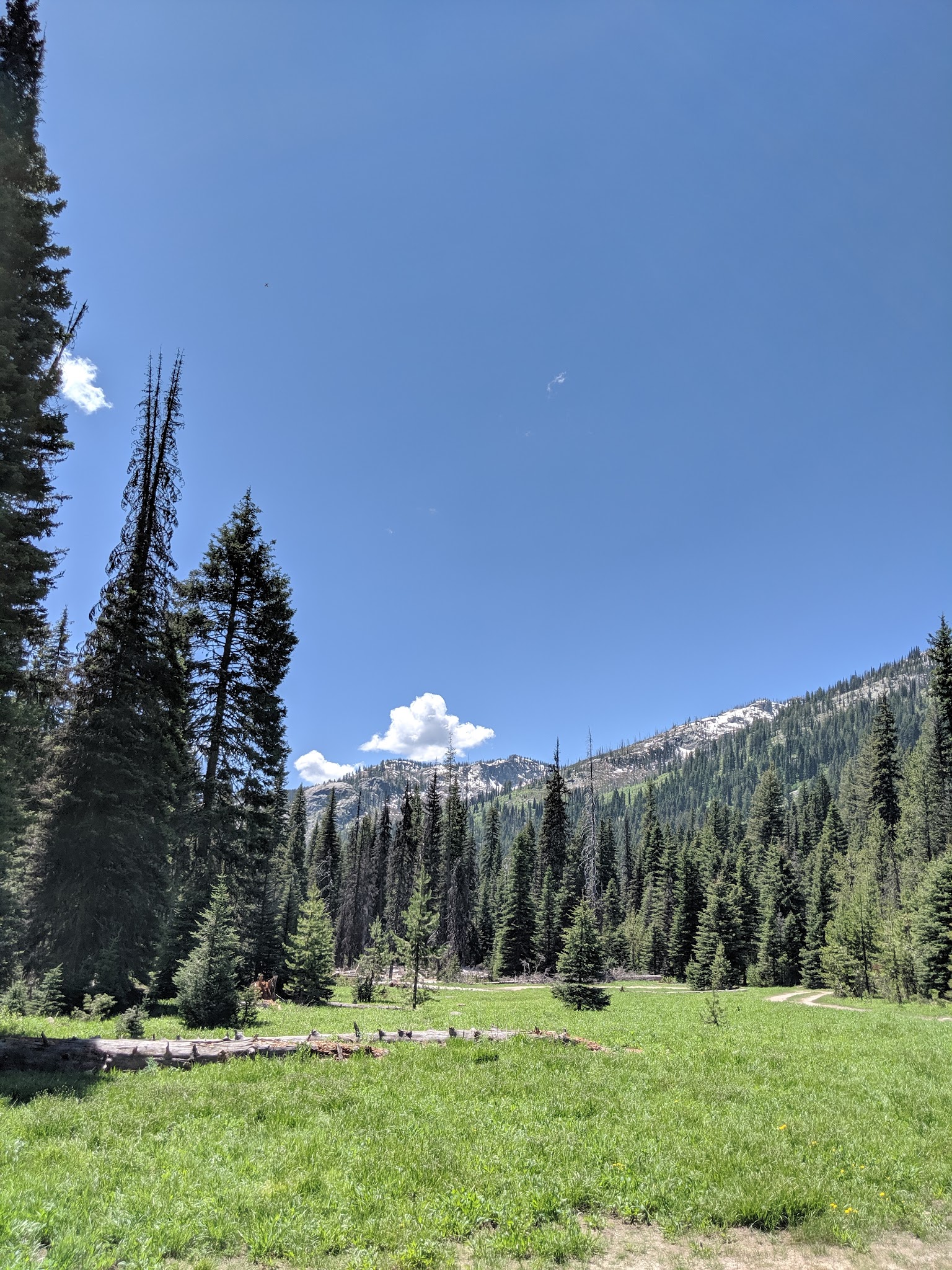 Black Lee Camping Area