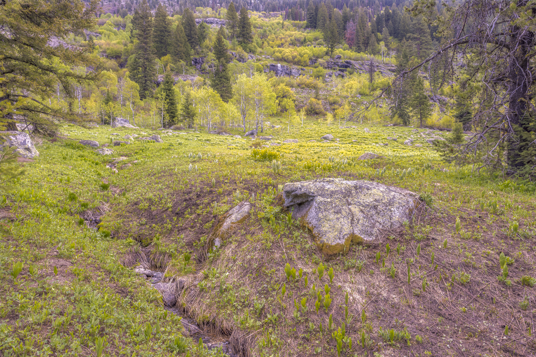Black Lee Camping Area