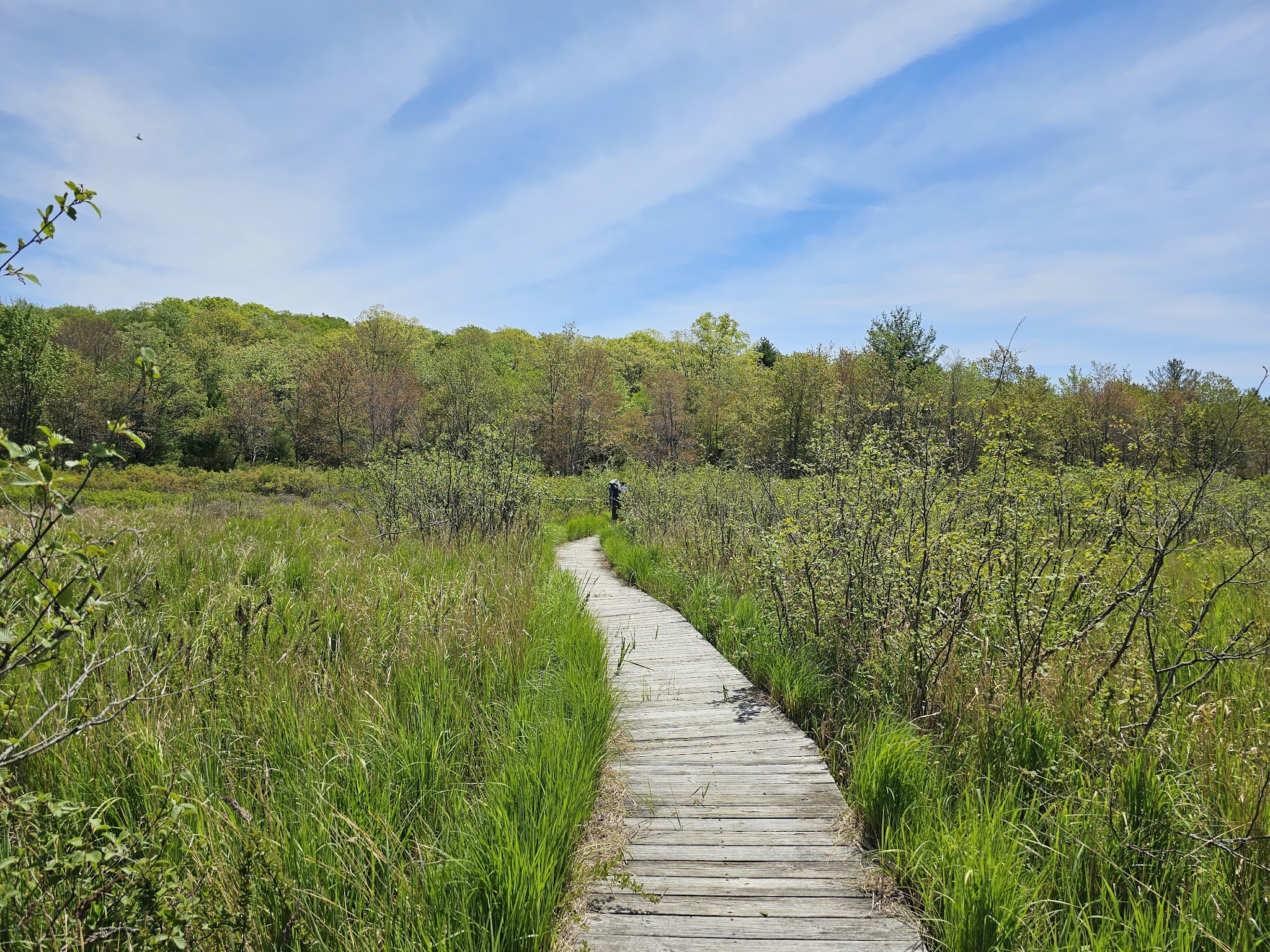 Black Moshannon State Park