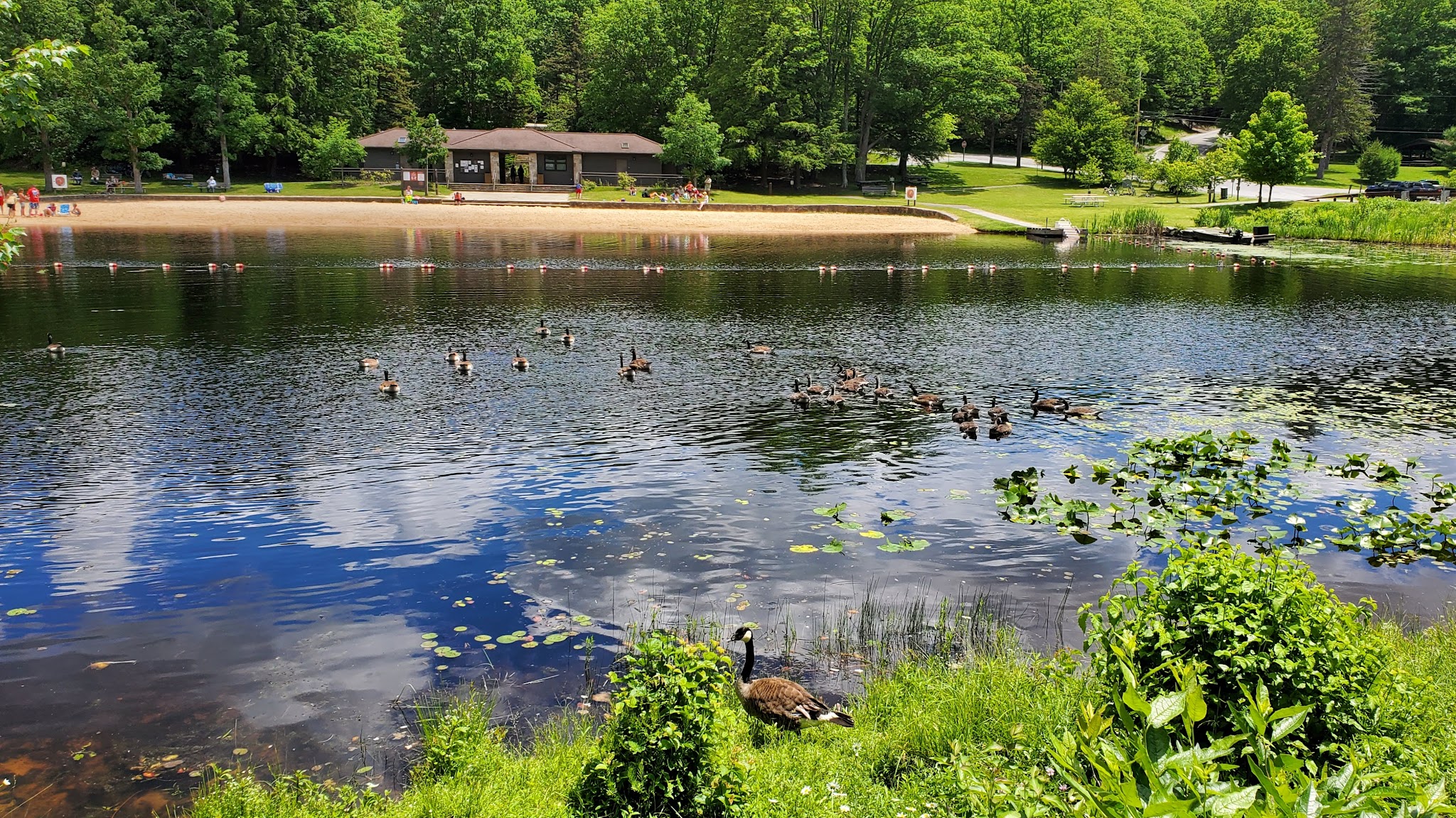 Black Moshannon State Park