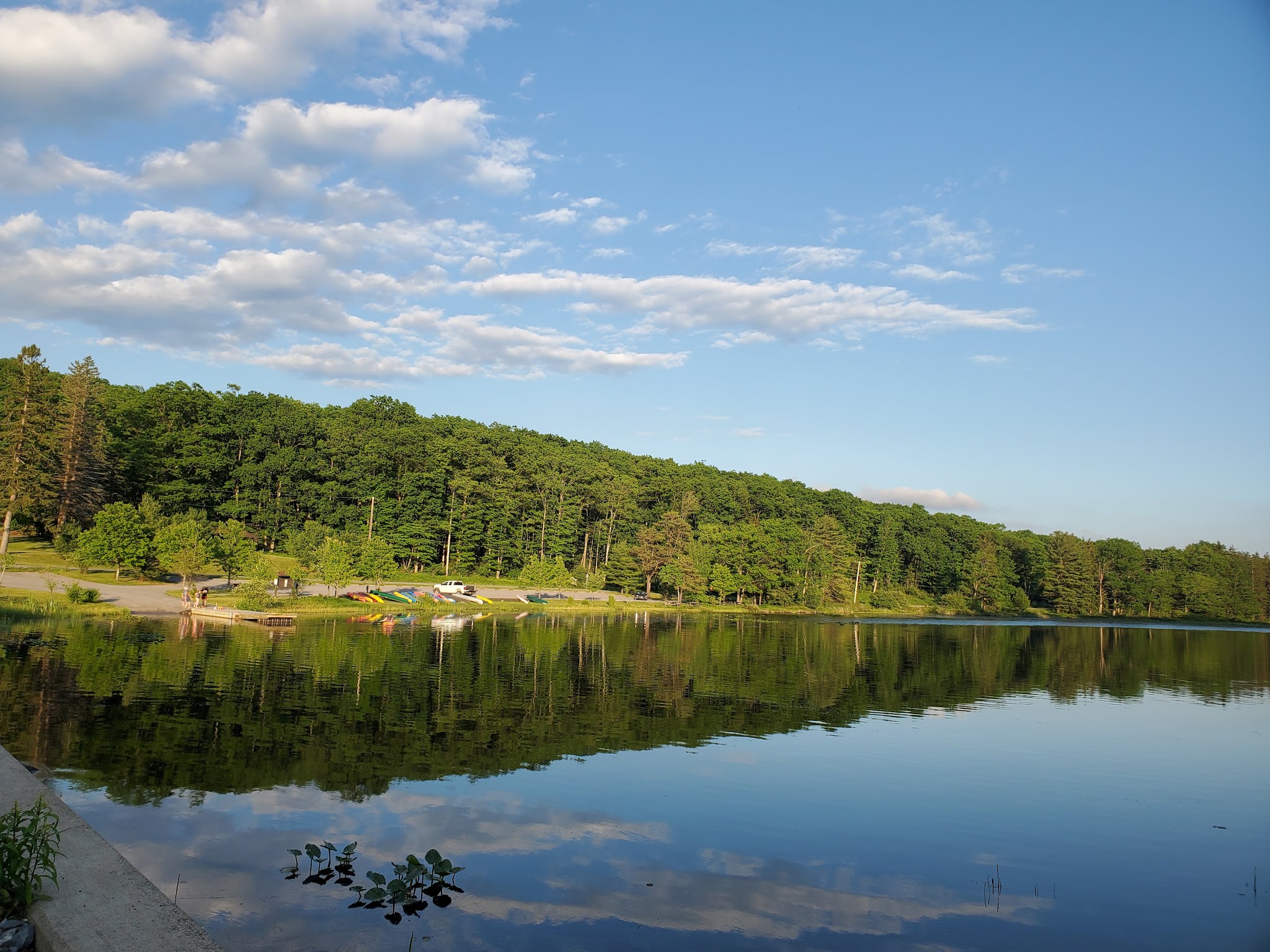 Black Moshannon State Park