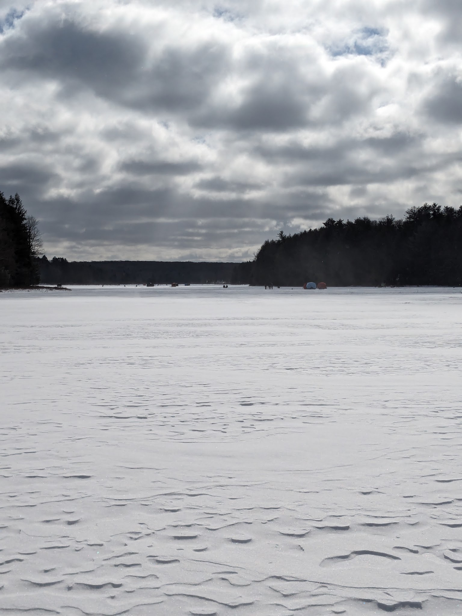 Black Moshannon State Park