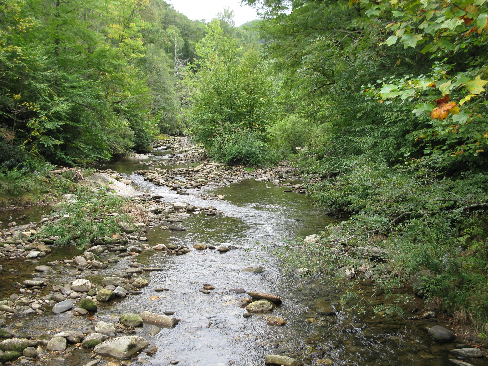 Briar Bottom Group Campground