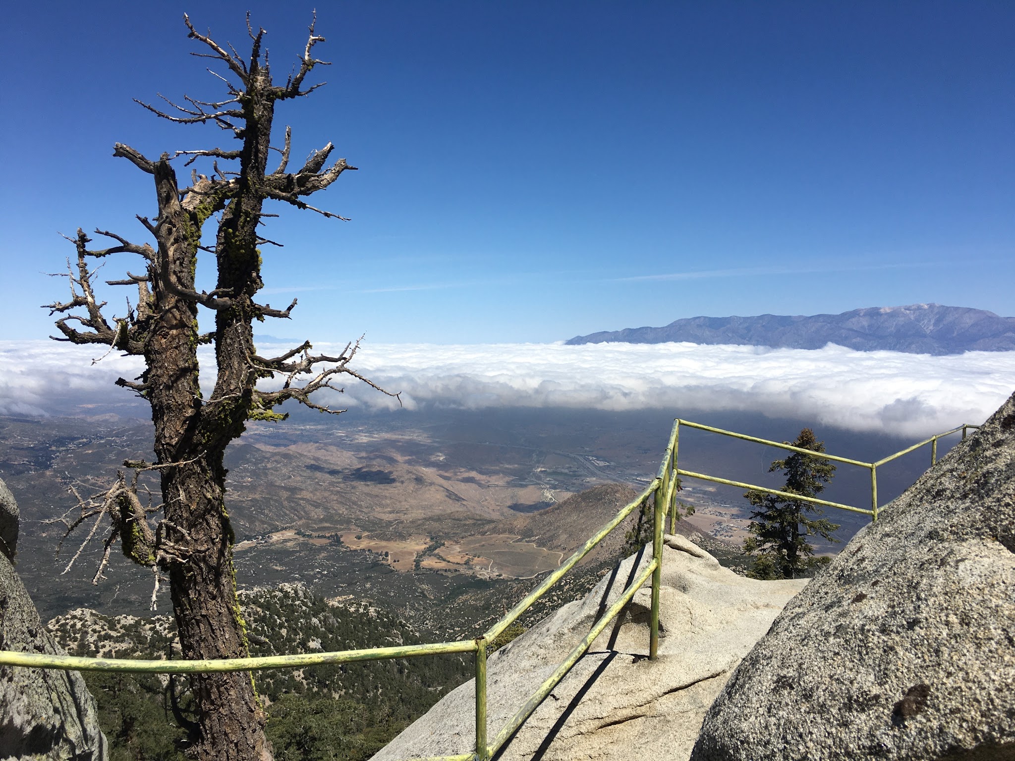 Black Mountain (San Bernardino)