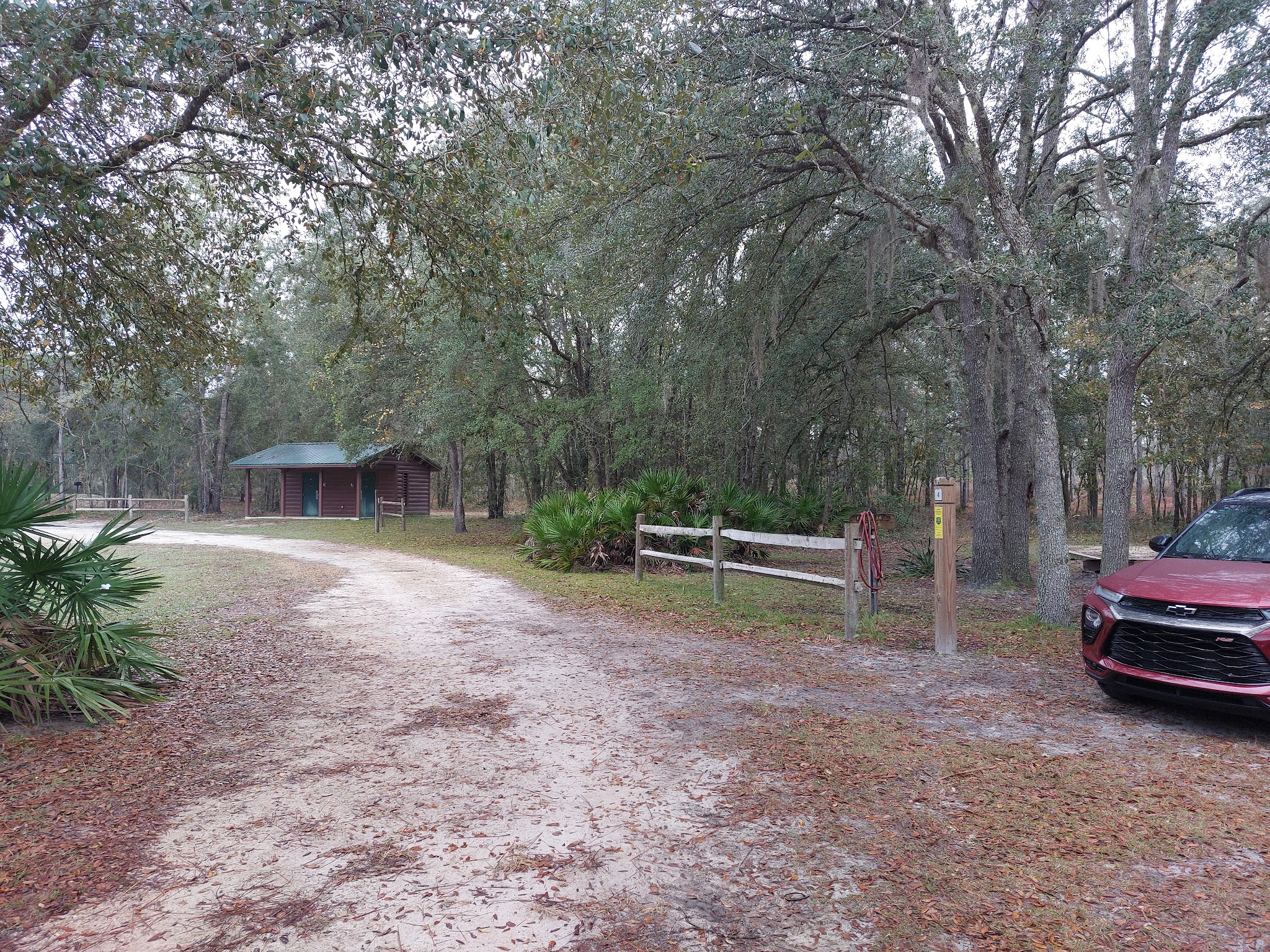 Goethe State Forest Black Prong Primitive Campsites