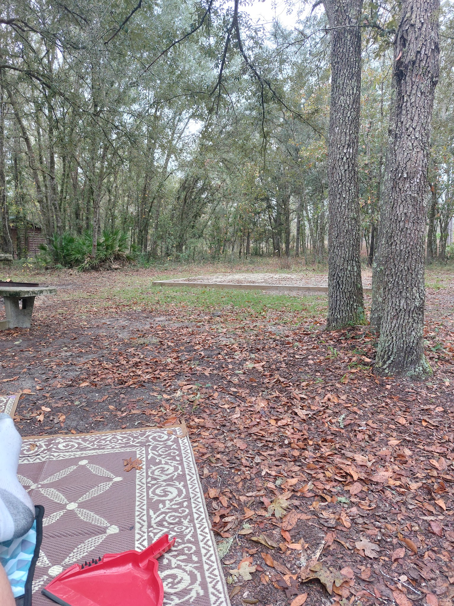 Goethe State Forest Black Prong Primitive Campsites