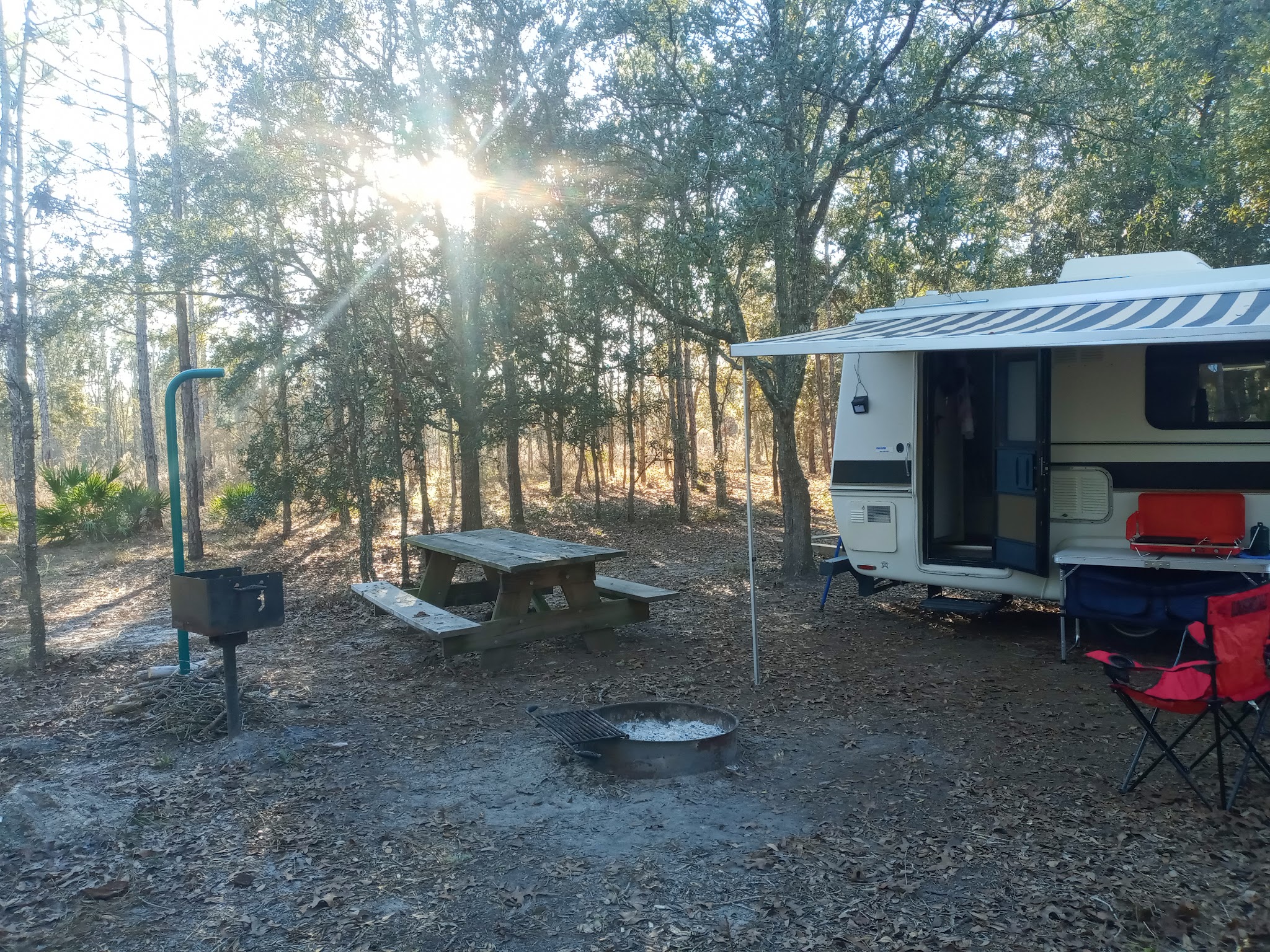 Goethe State Forest Black Prong Primitive Campsites