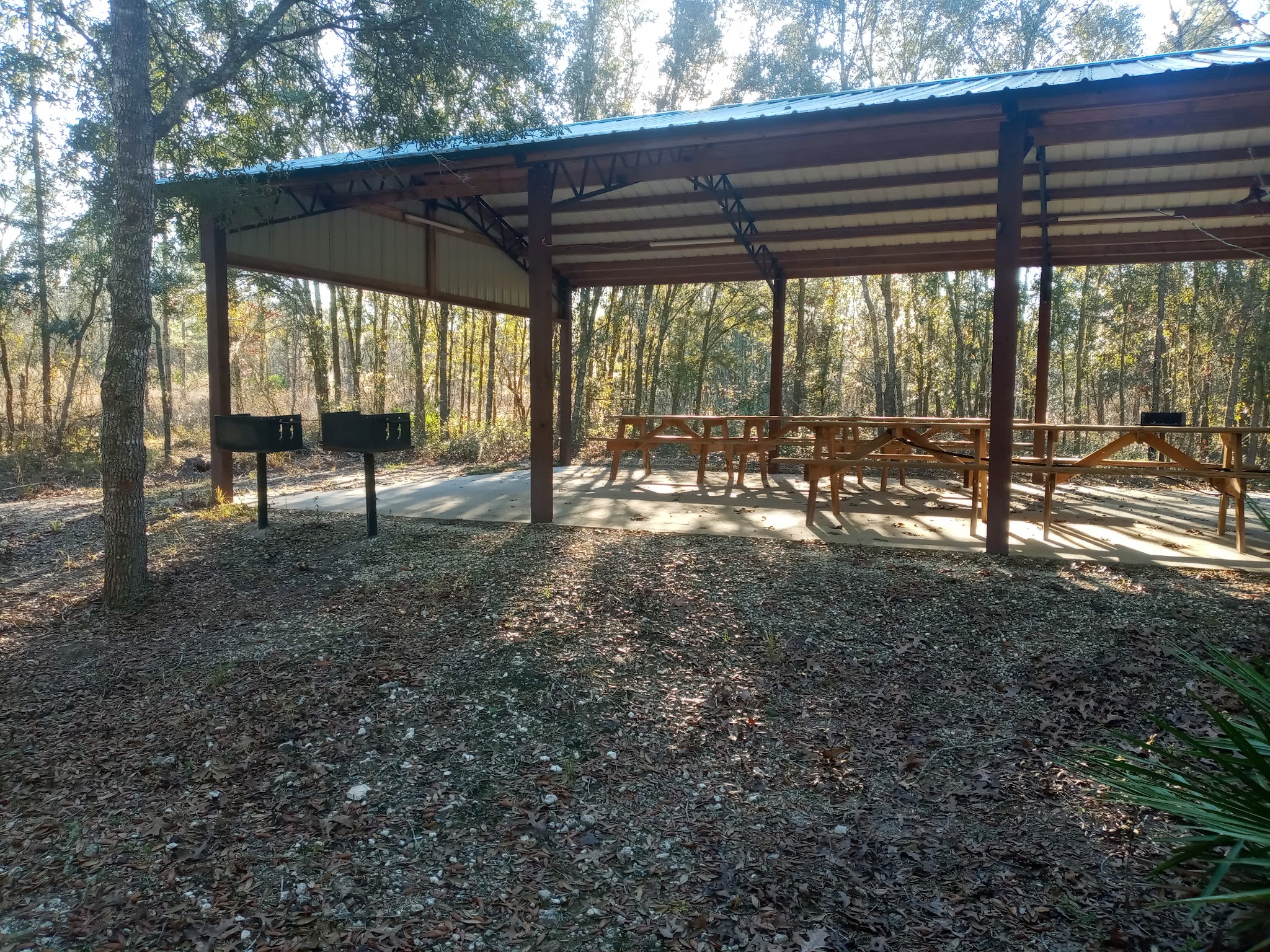 Goethe State Forest Black Prong Primitive Campsites