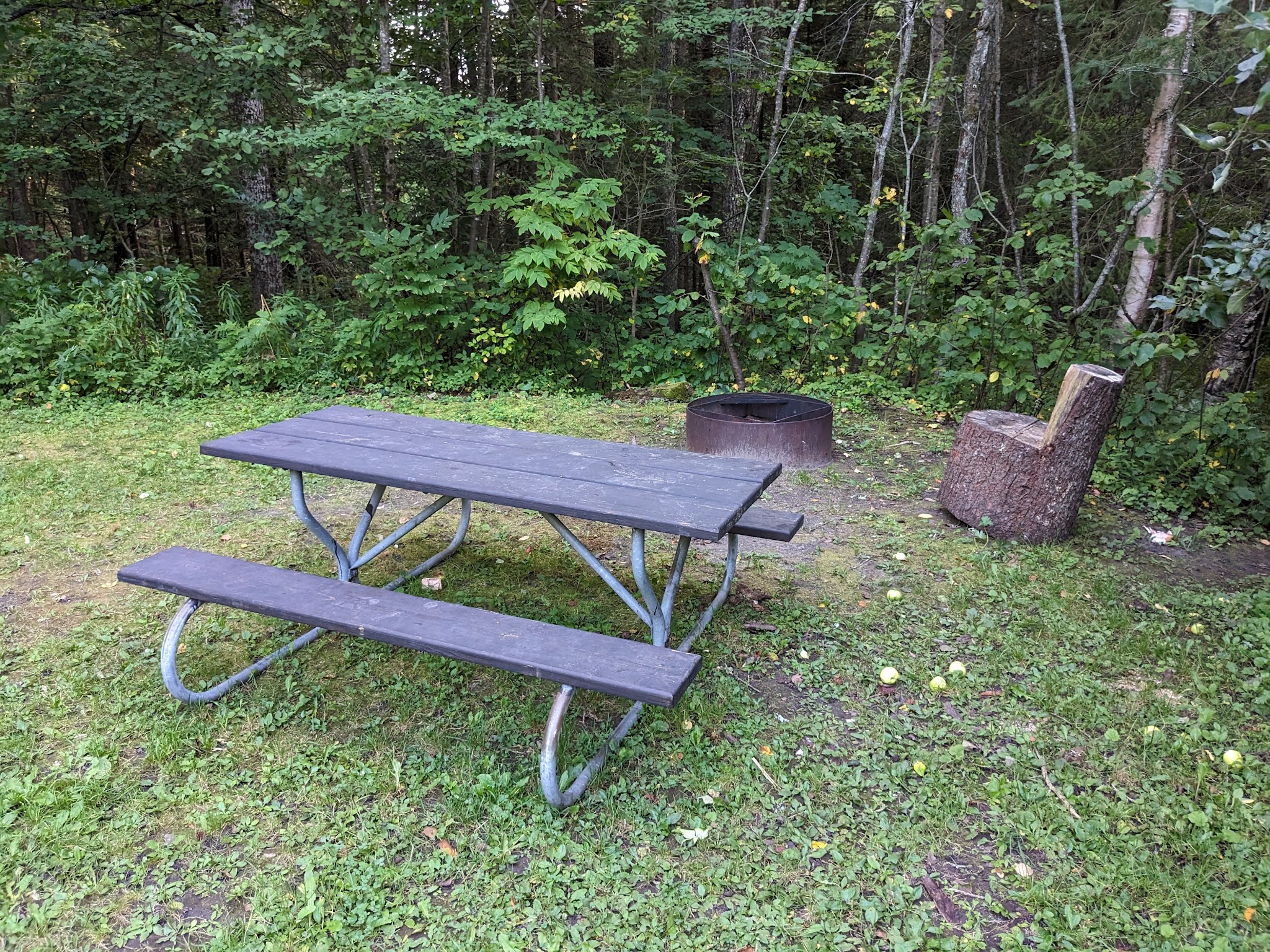 Black River State Forest