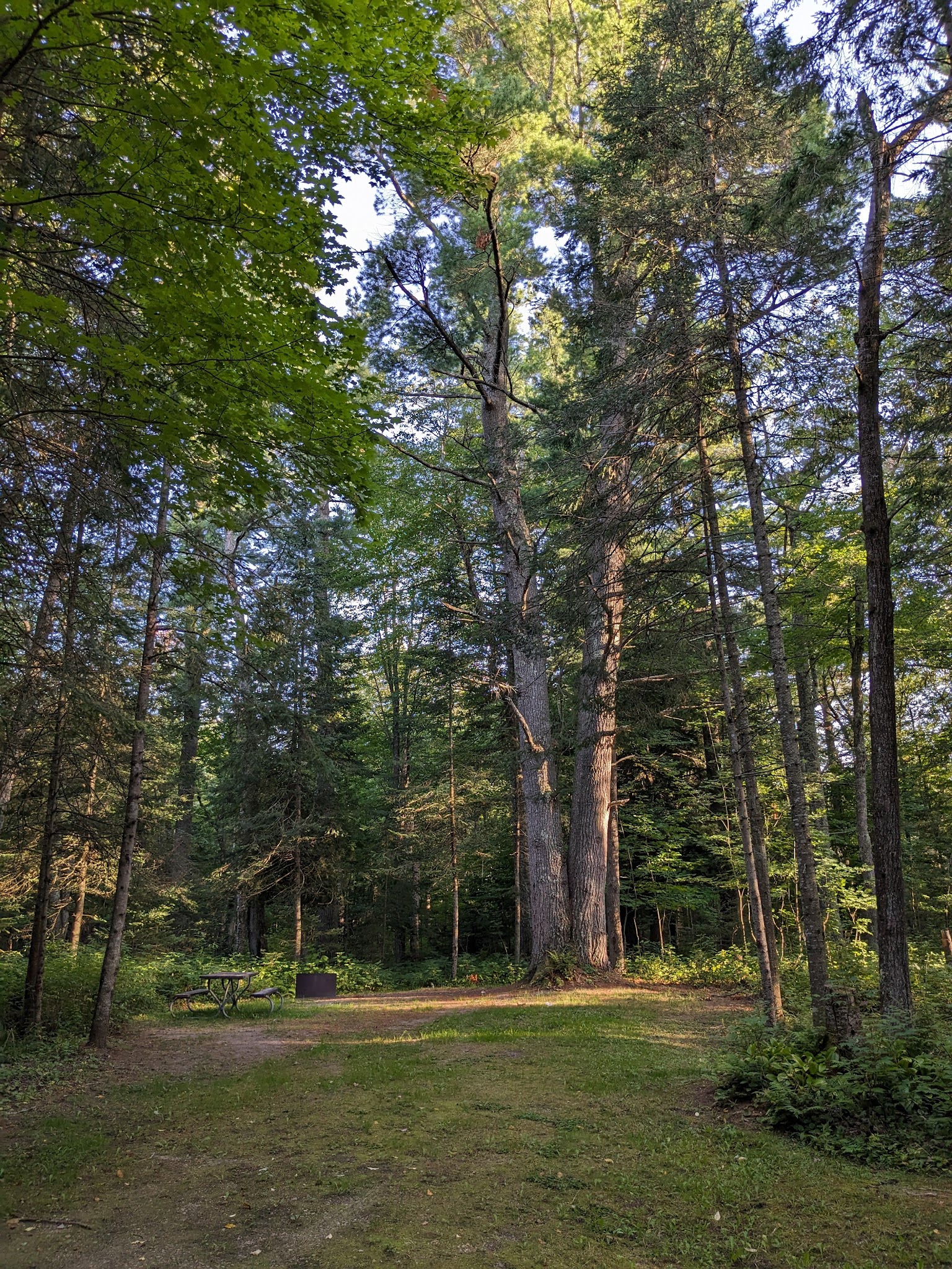 Black River State Forest
