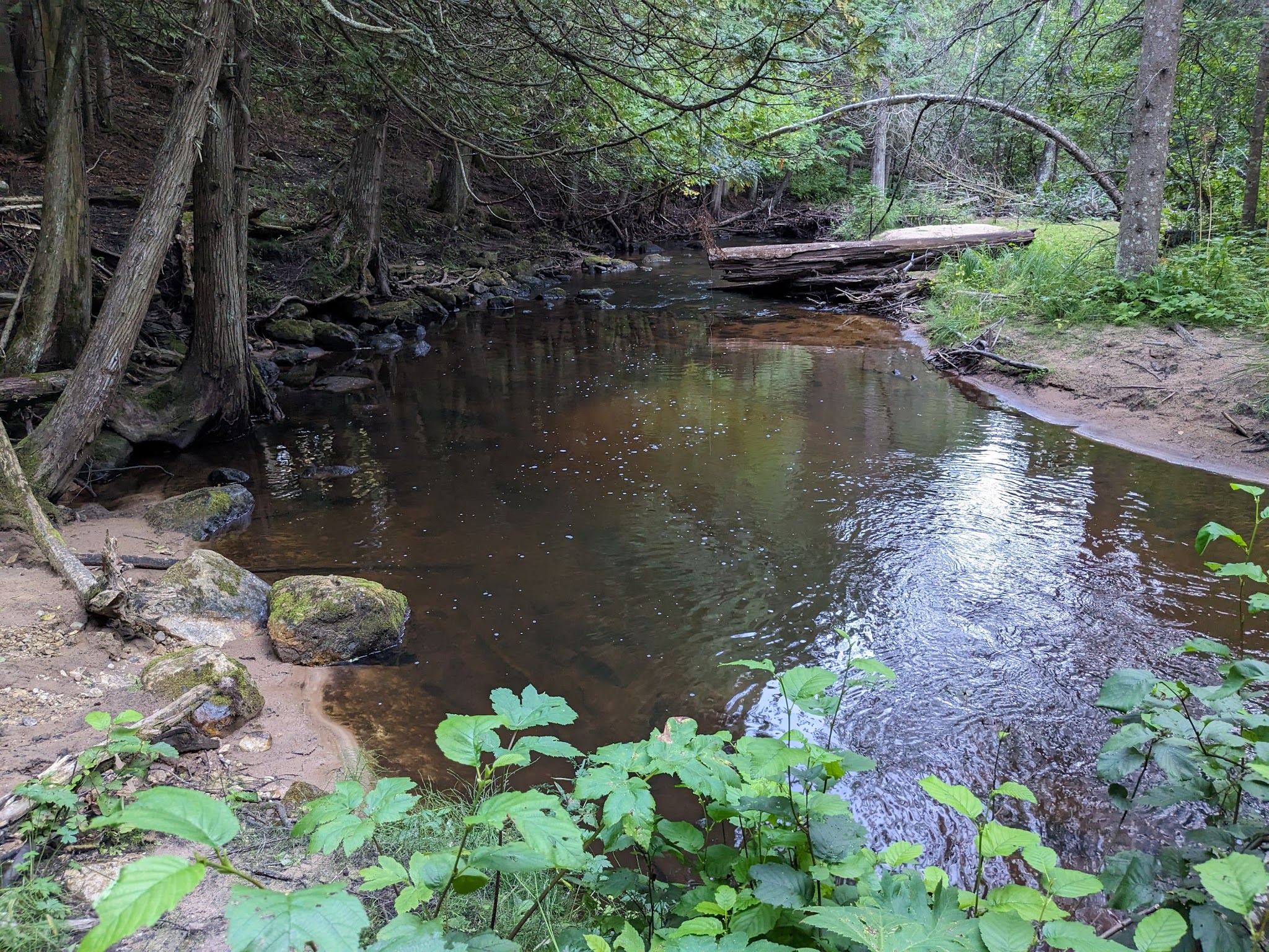 Black River State Forest