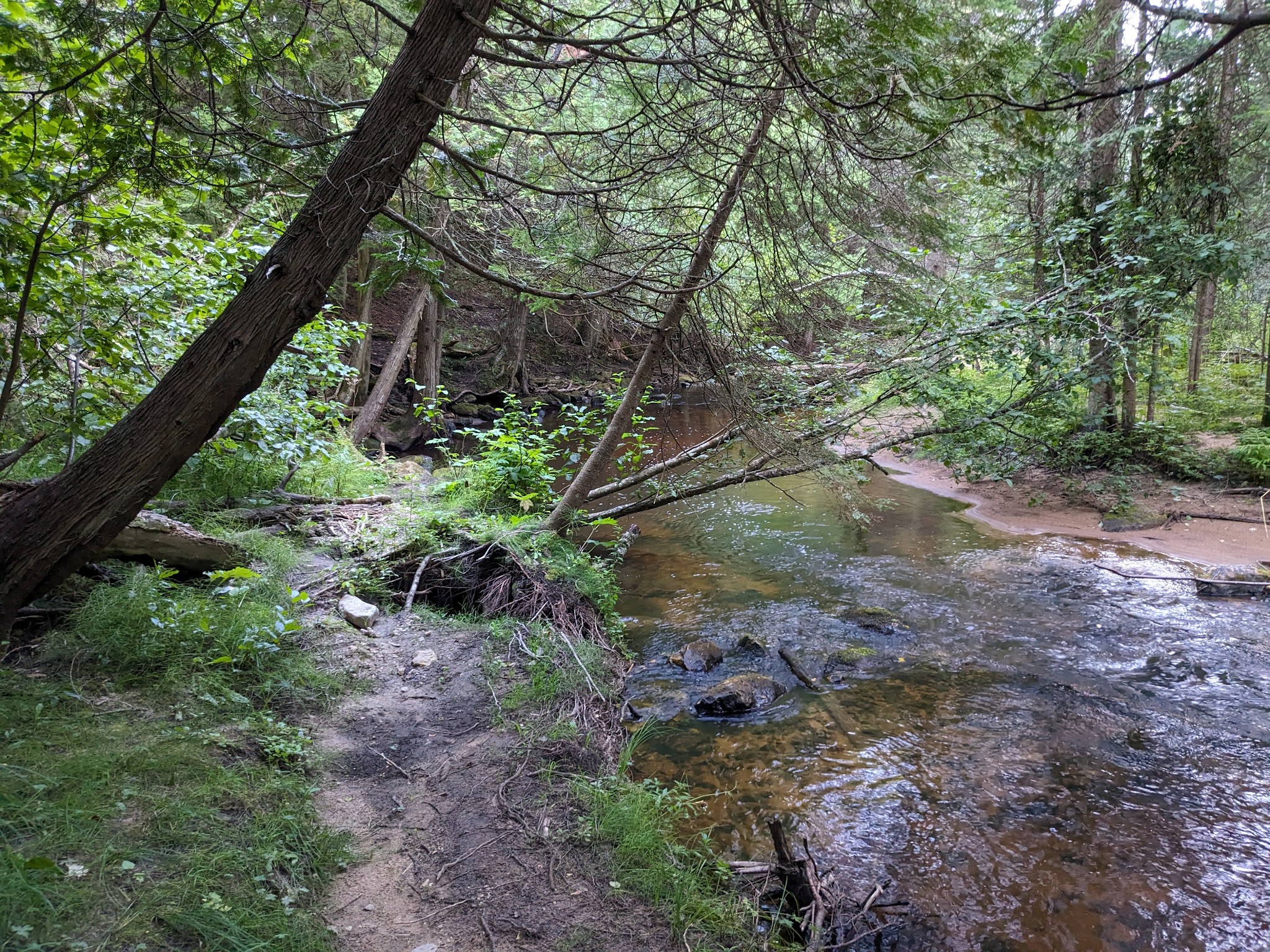 Black River State Forest