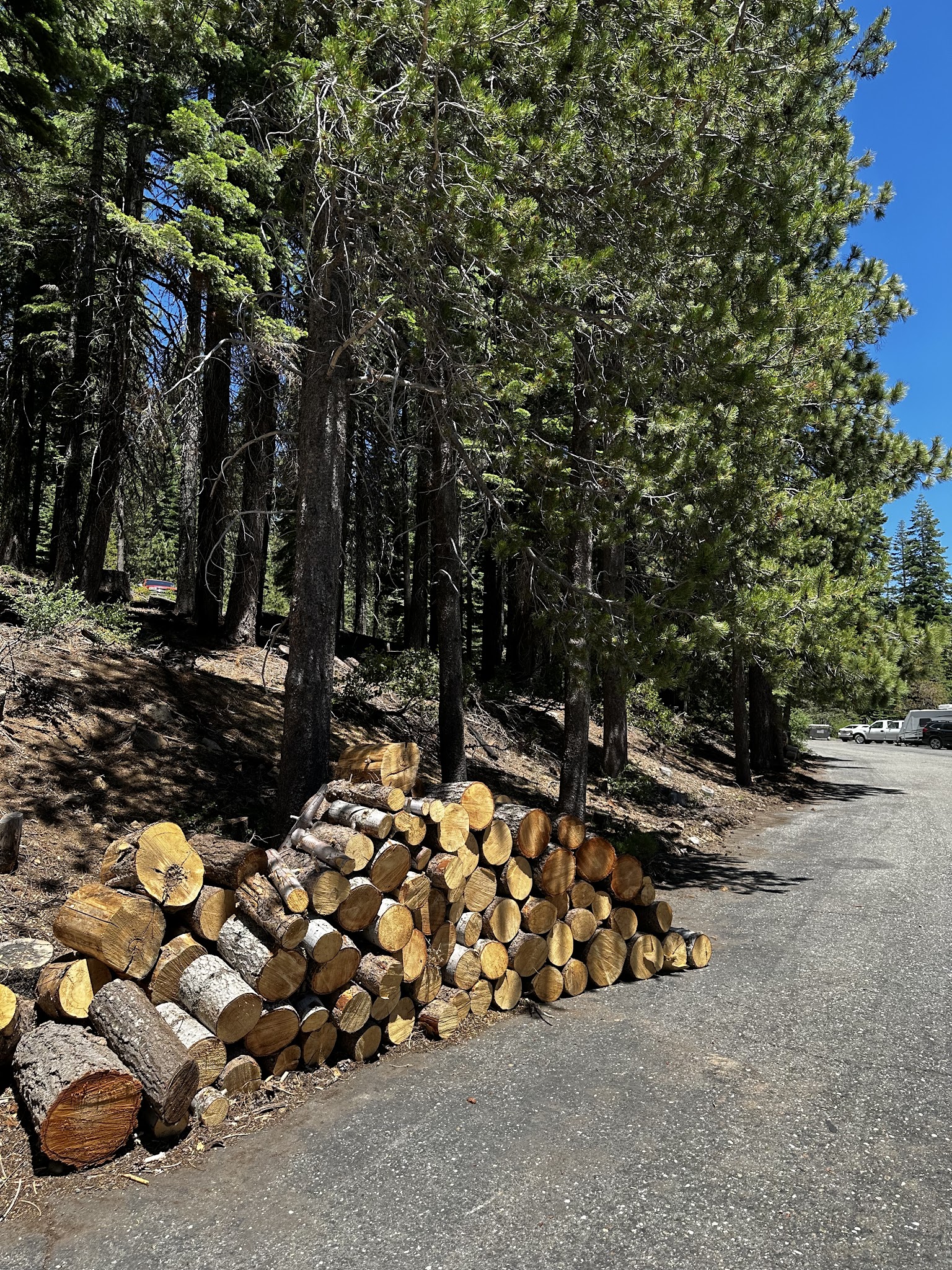 Black Rock Walk-In Tent Campground