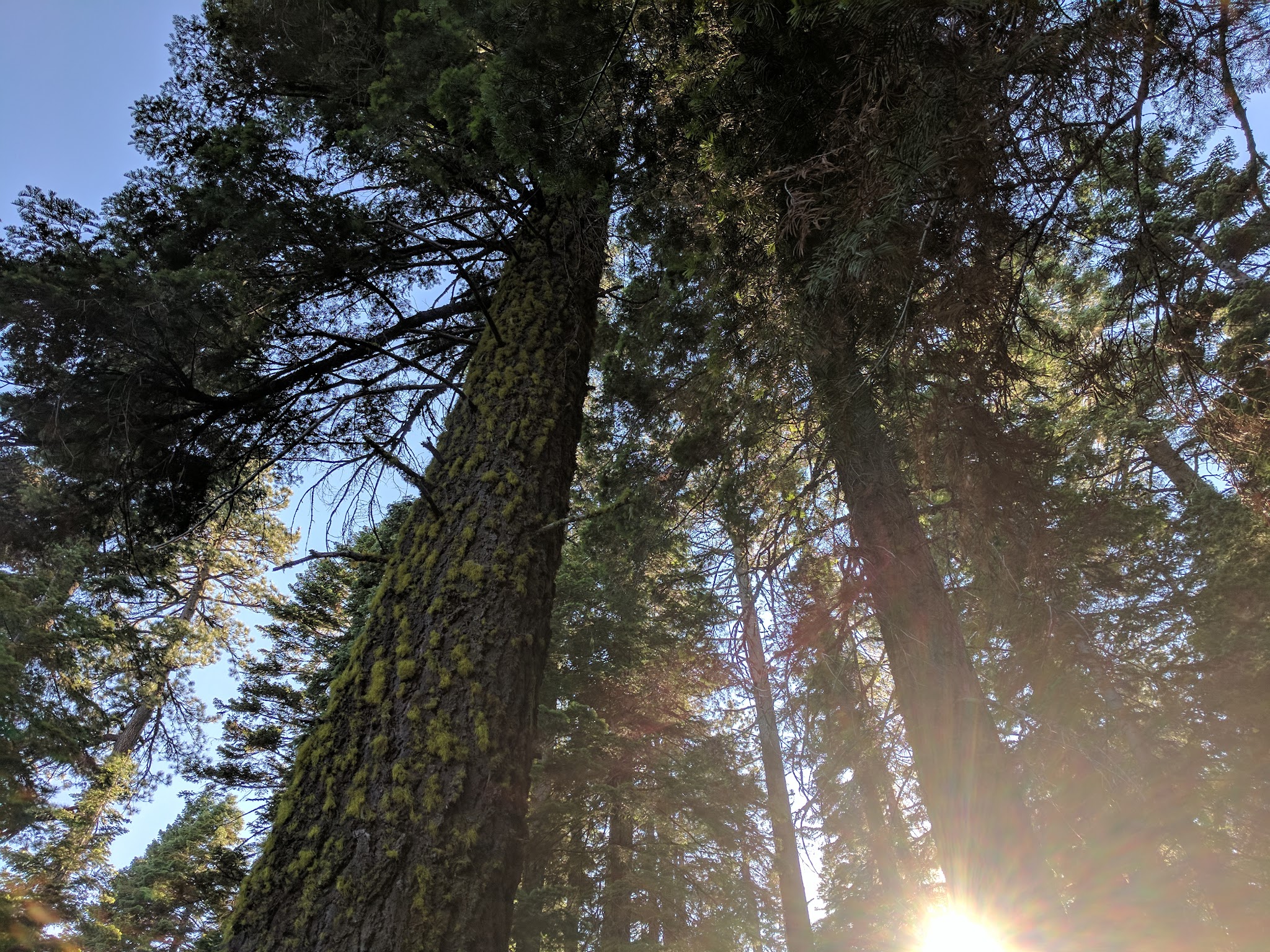 Black Rock Walk-In Tent Campground