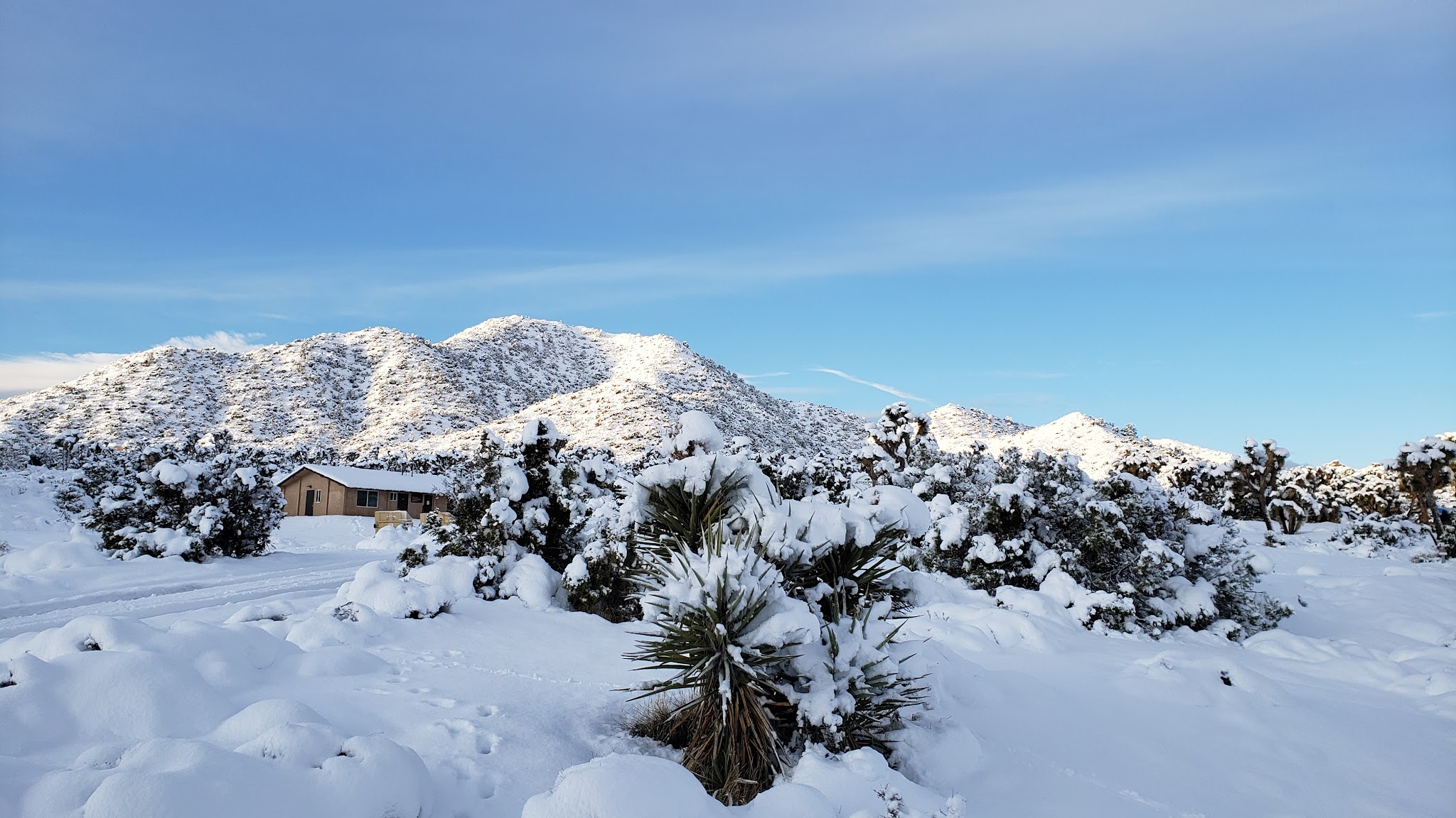 Black Rock Campground