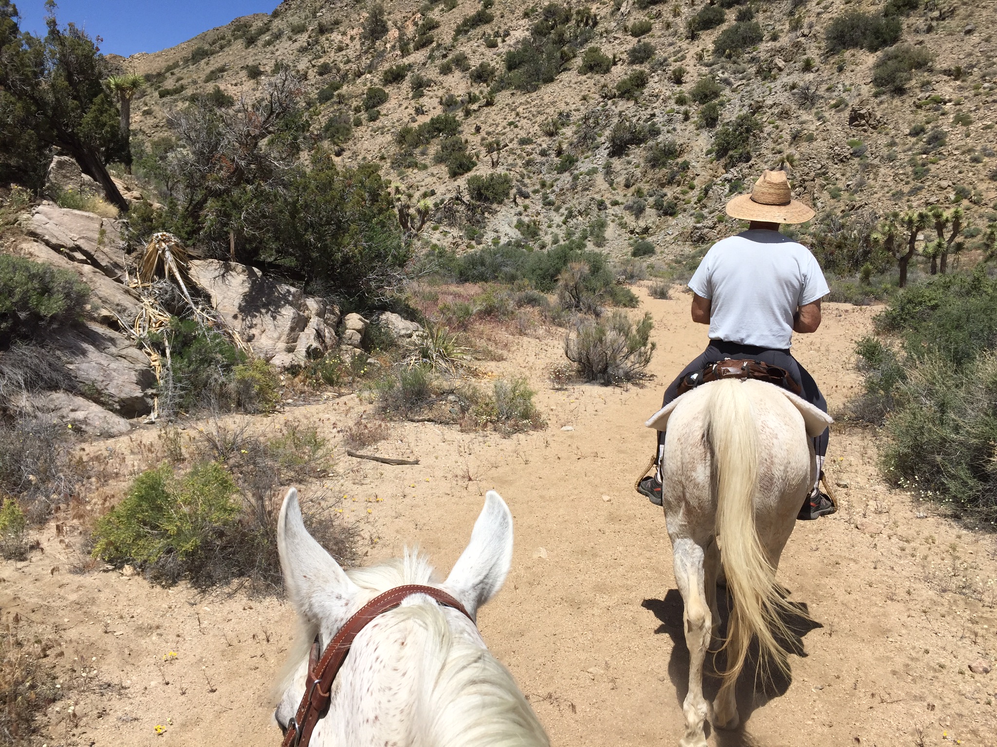 Black Rock Equestrian Campground