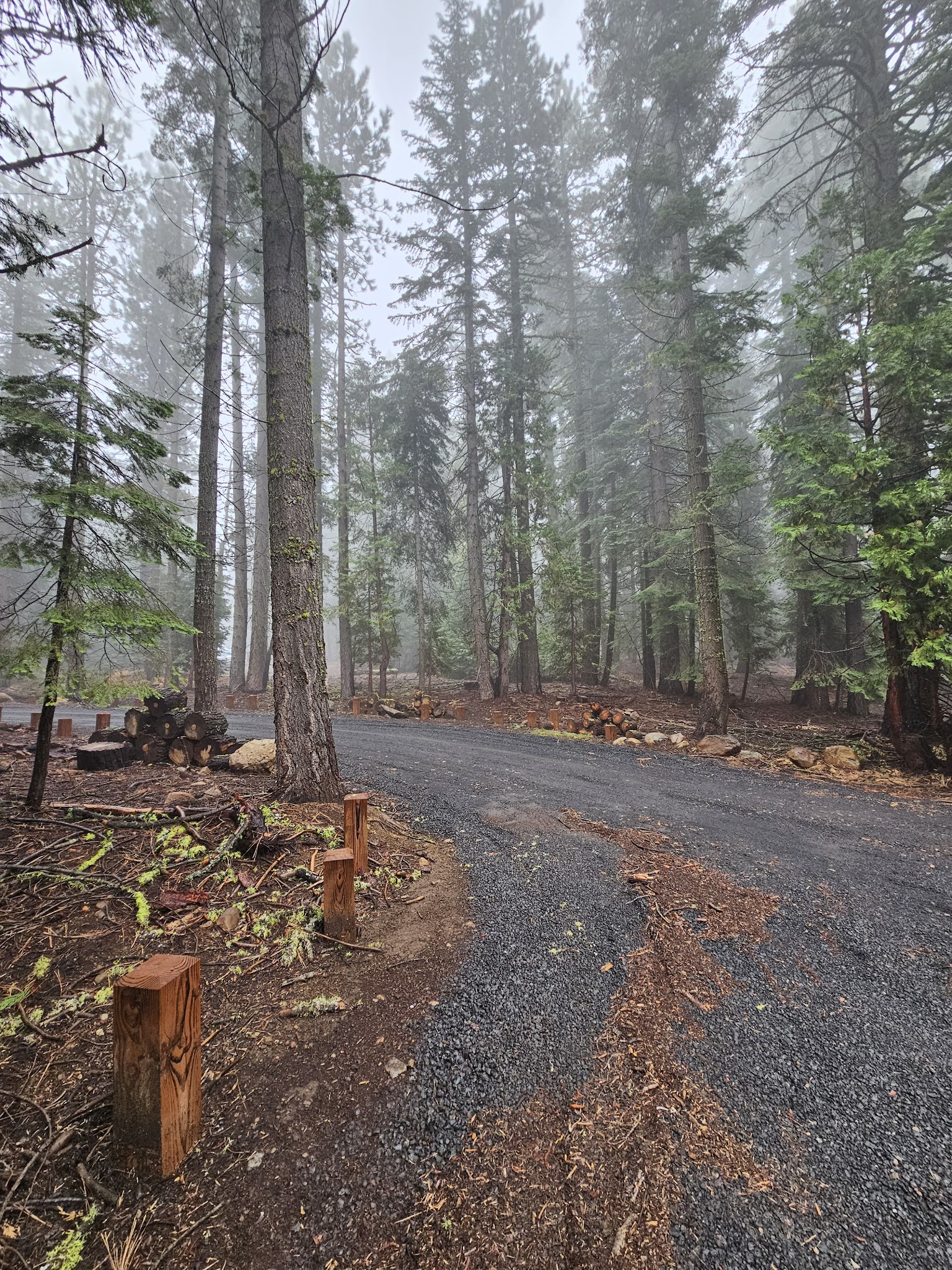 Black Springs Ohv Campground