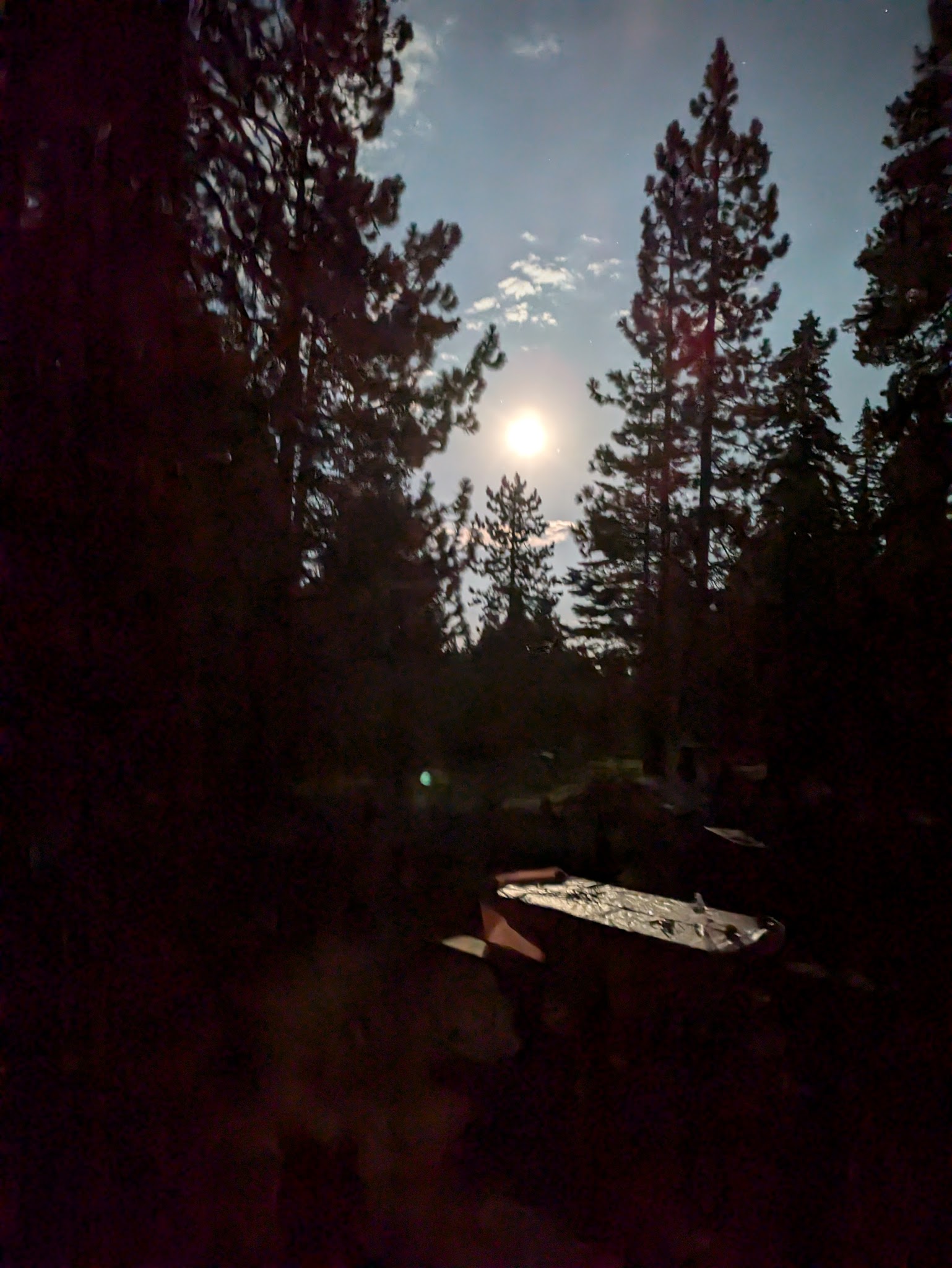 Black Springs Ohv Campground