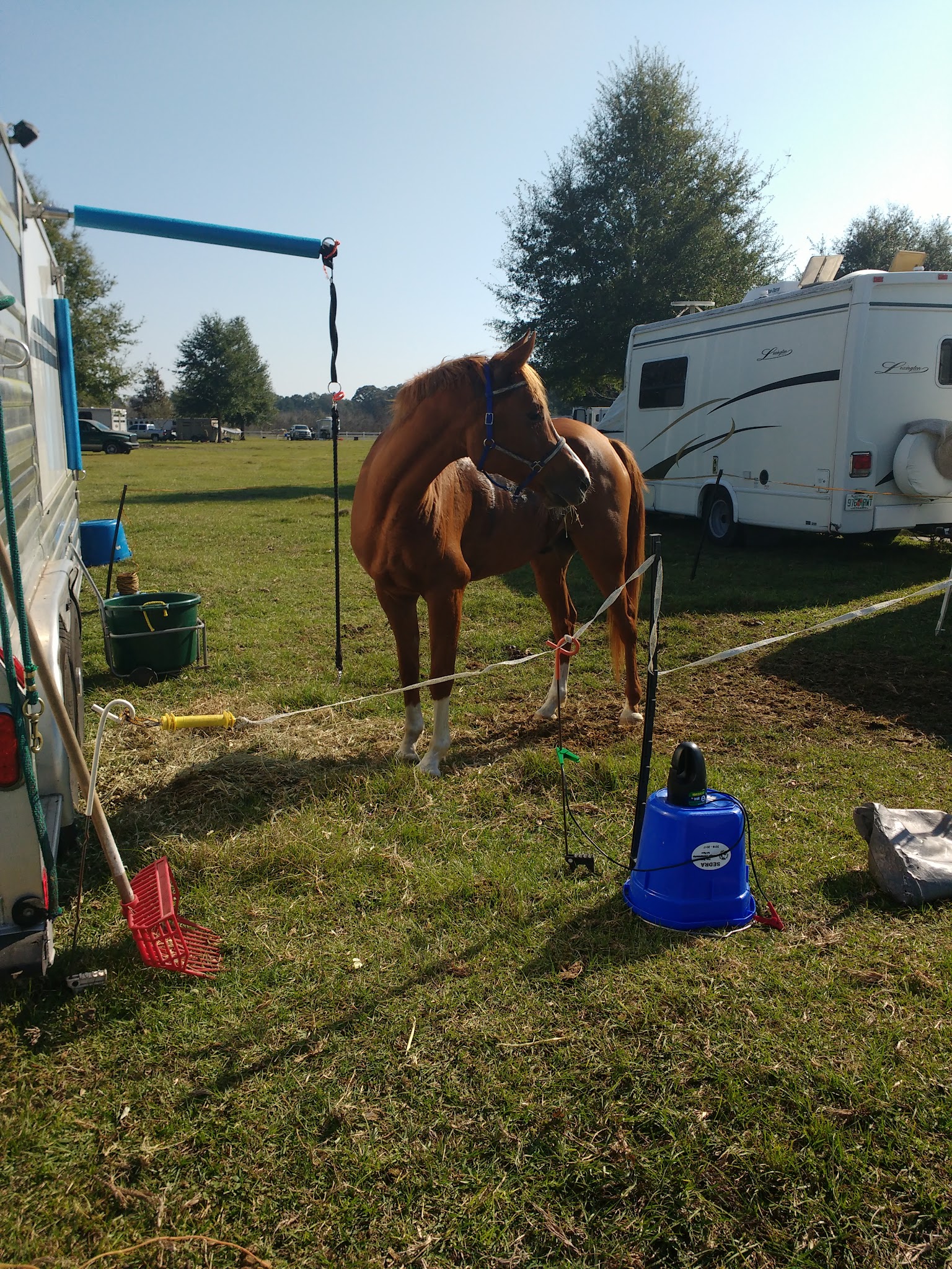 Coldwater Equestrian Campground Blackwater River State Forest