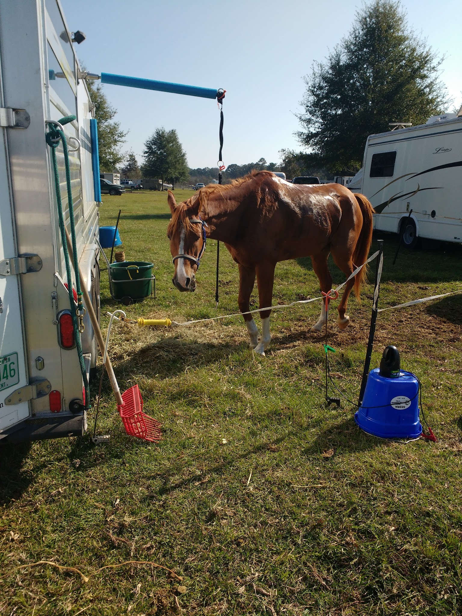 Coldwater Equestrian Campground Blackwater River State Forest