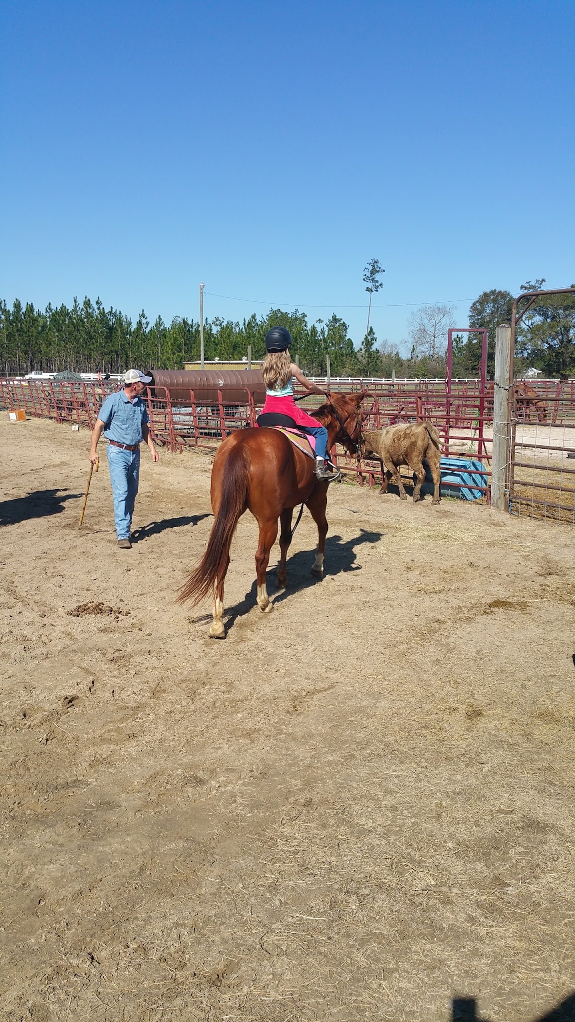 Coldwater Equestrian Campground Blackwater River State Forest