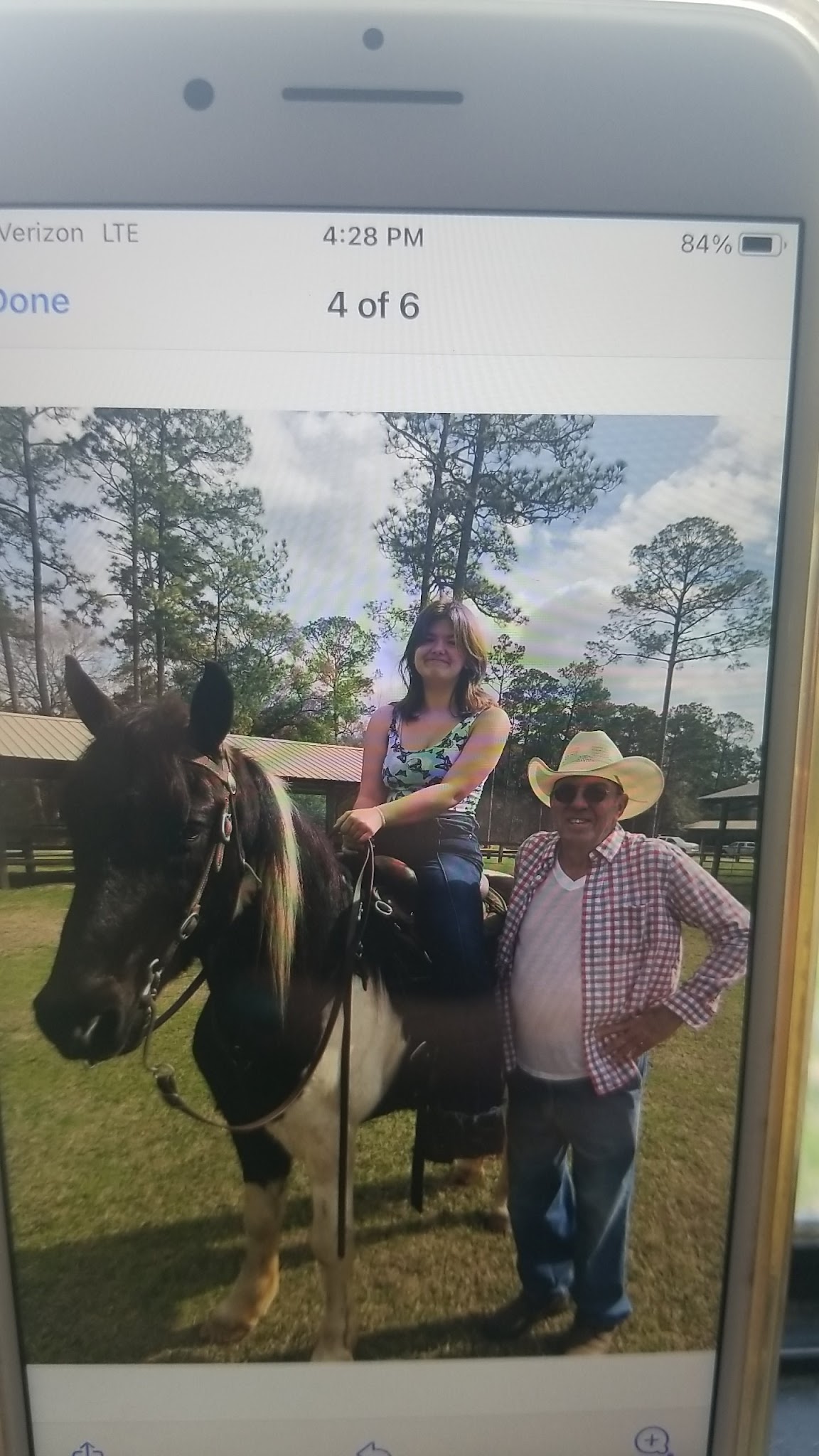 Coldwater Equestrian Campground Blackwater River State Forest