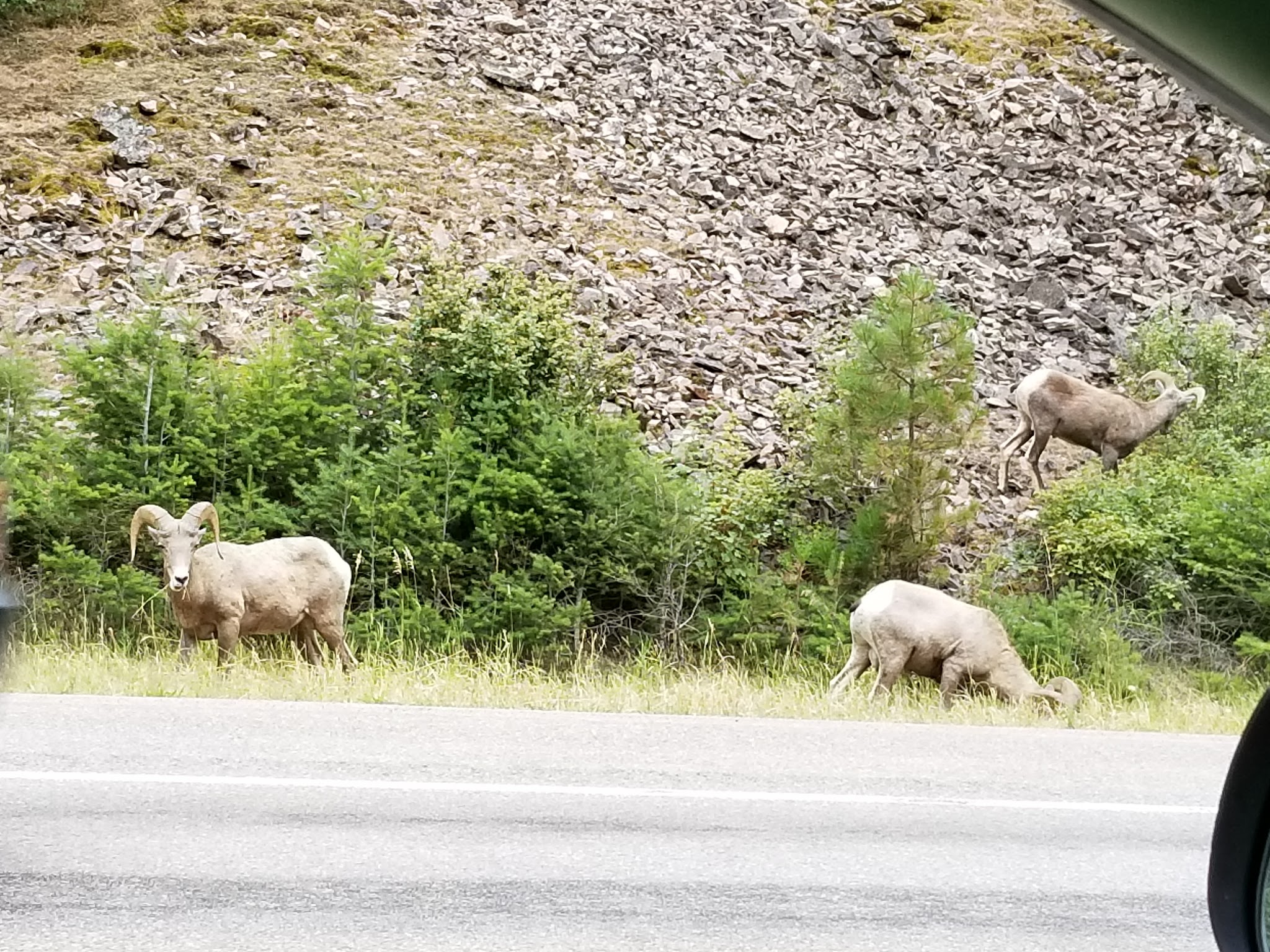 Blackfoot River Corridor