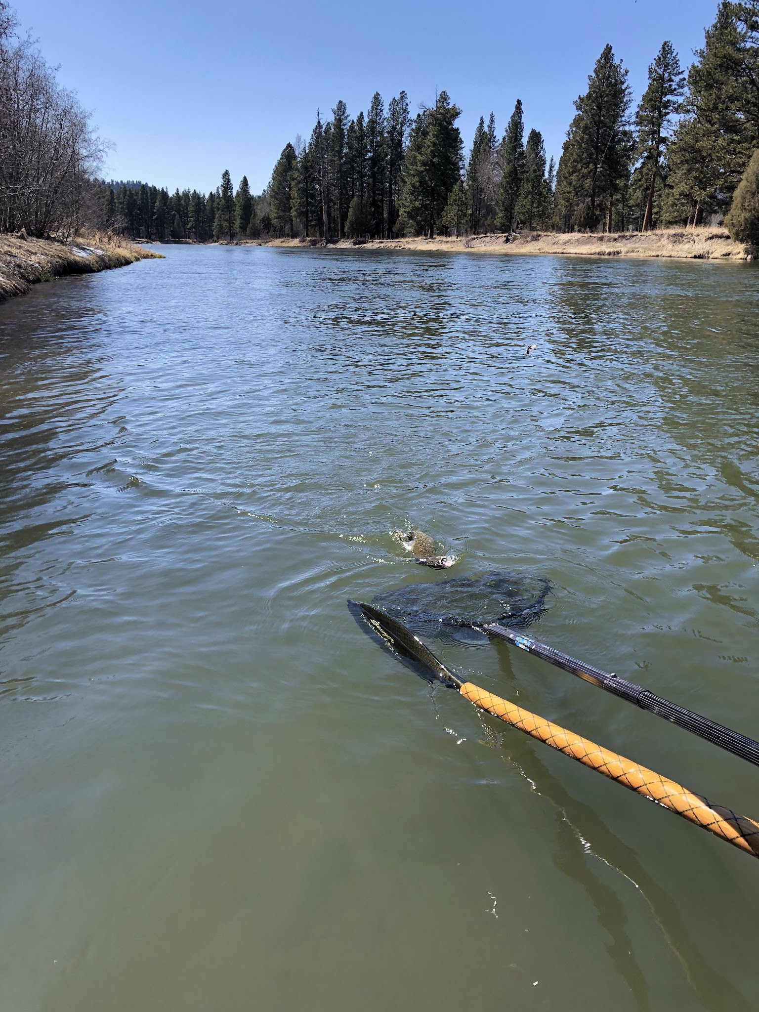 Blackfoot River Corridor