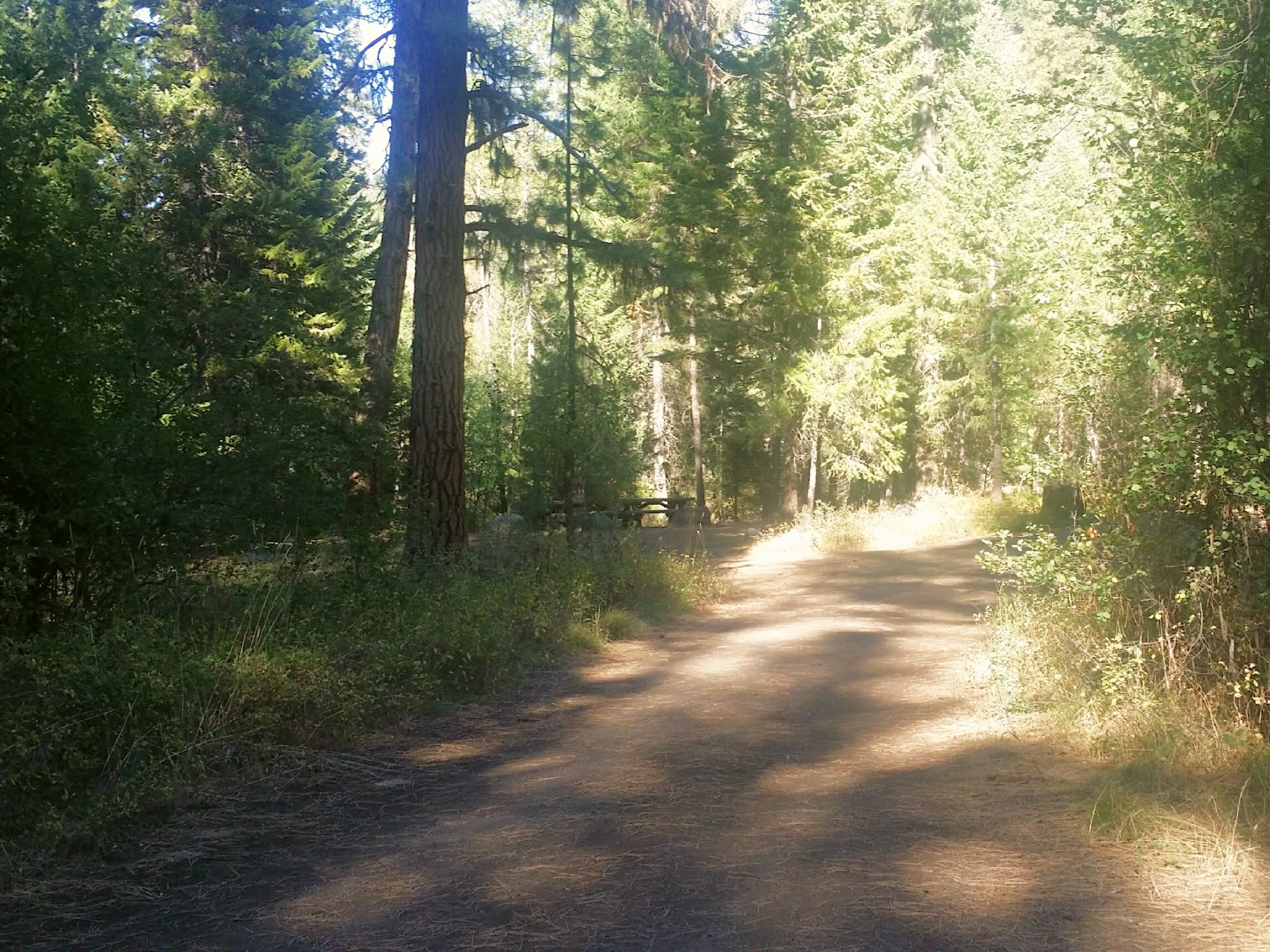 Blackhorse Campground