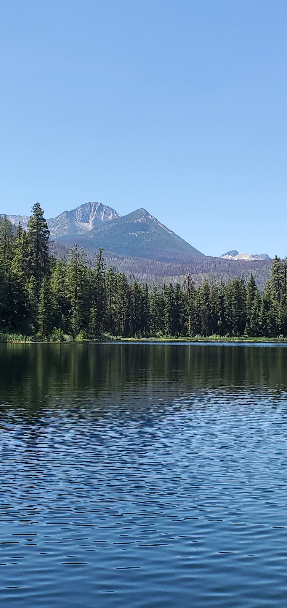 Hidden gem campgrounds in Washington