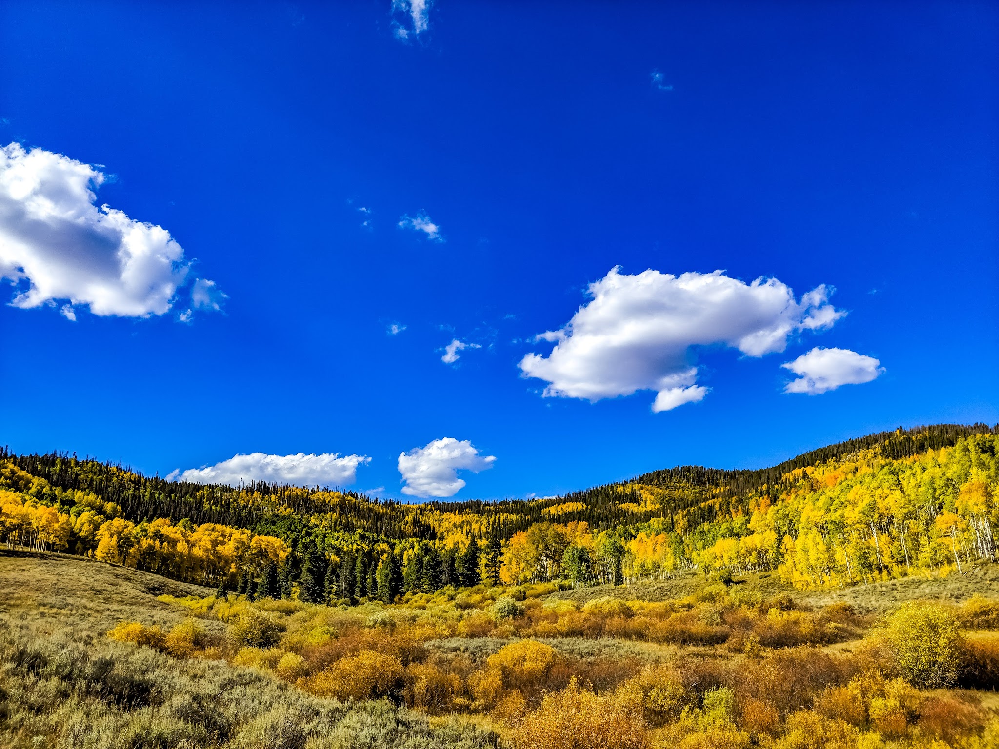 Blacktail Creek Campground