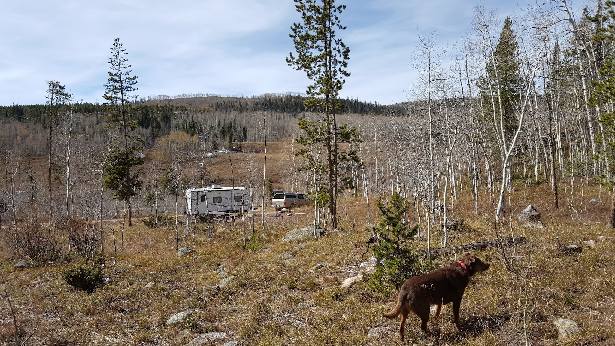 Blacktail Creek Campground