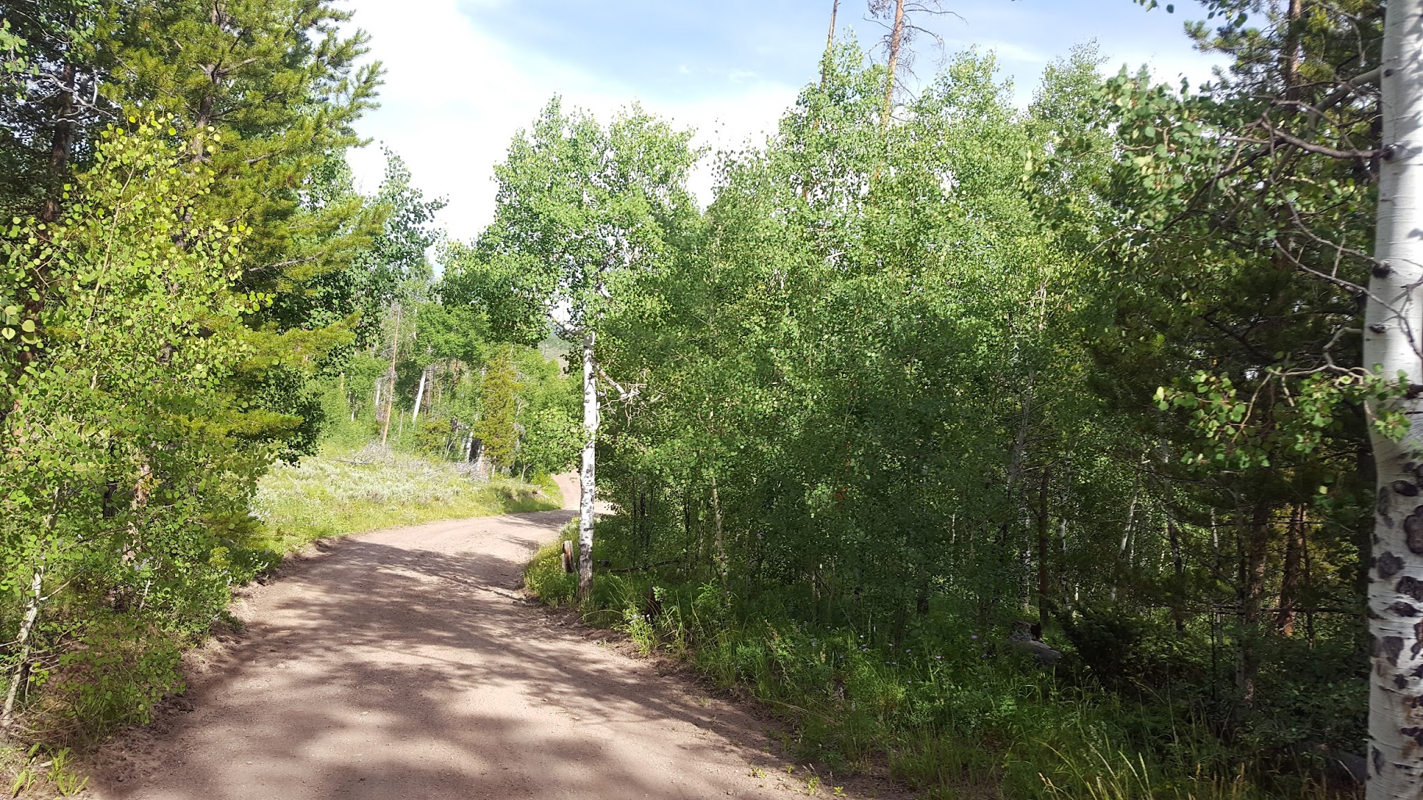 Blacktail Creek Campground