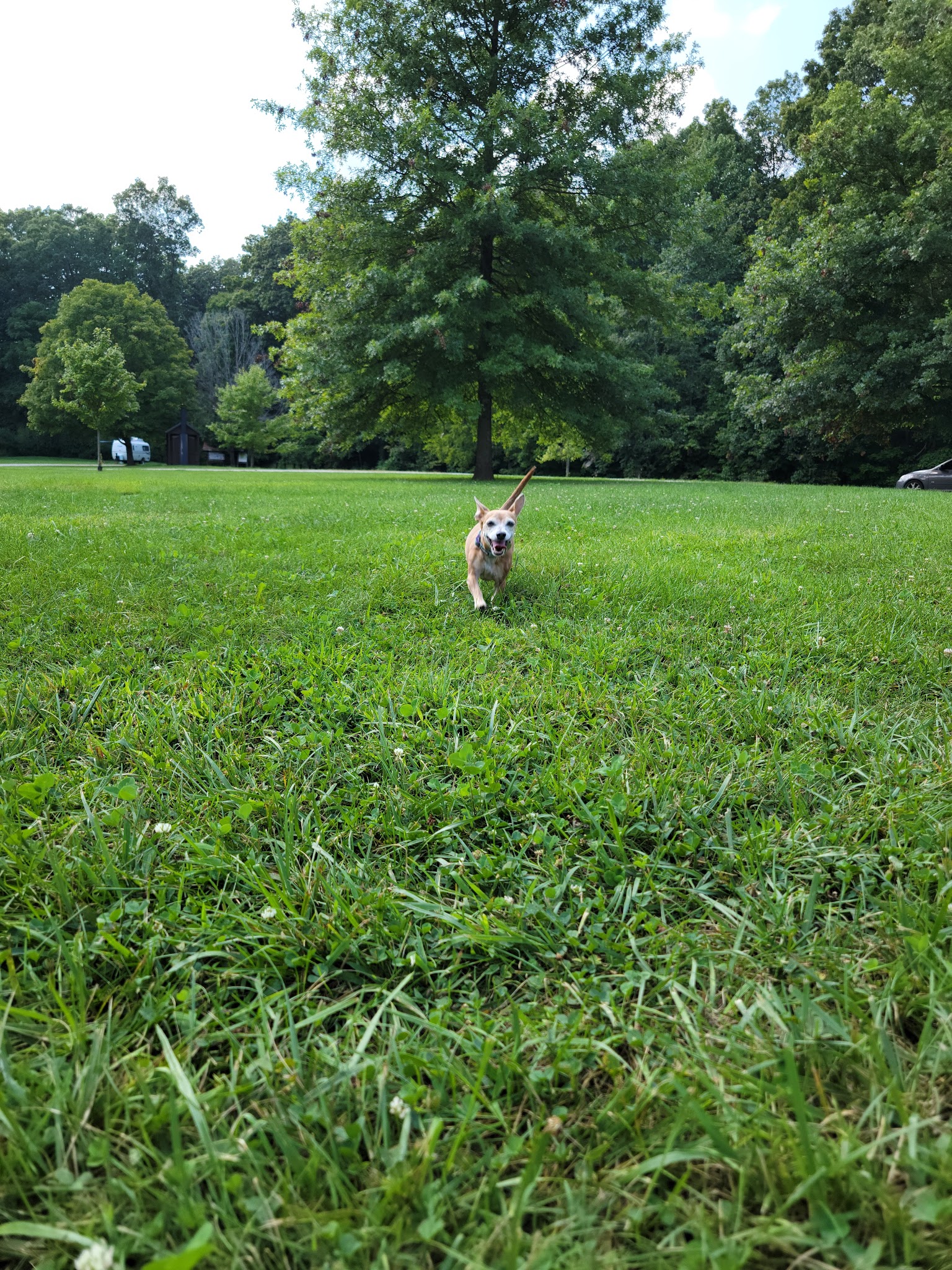 Blackwell Campground