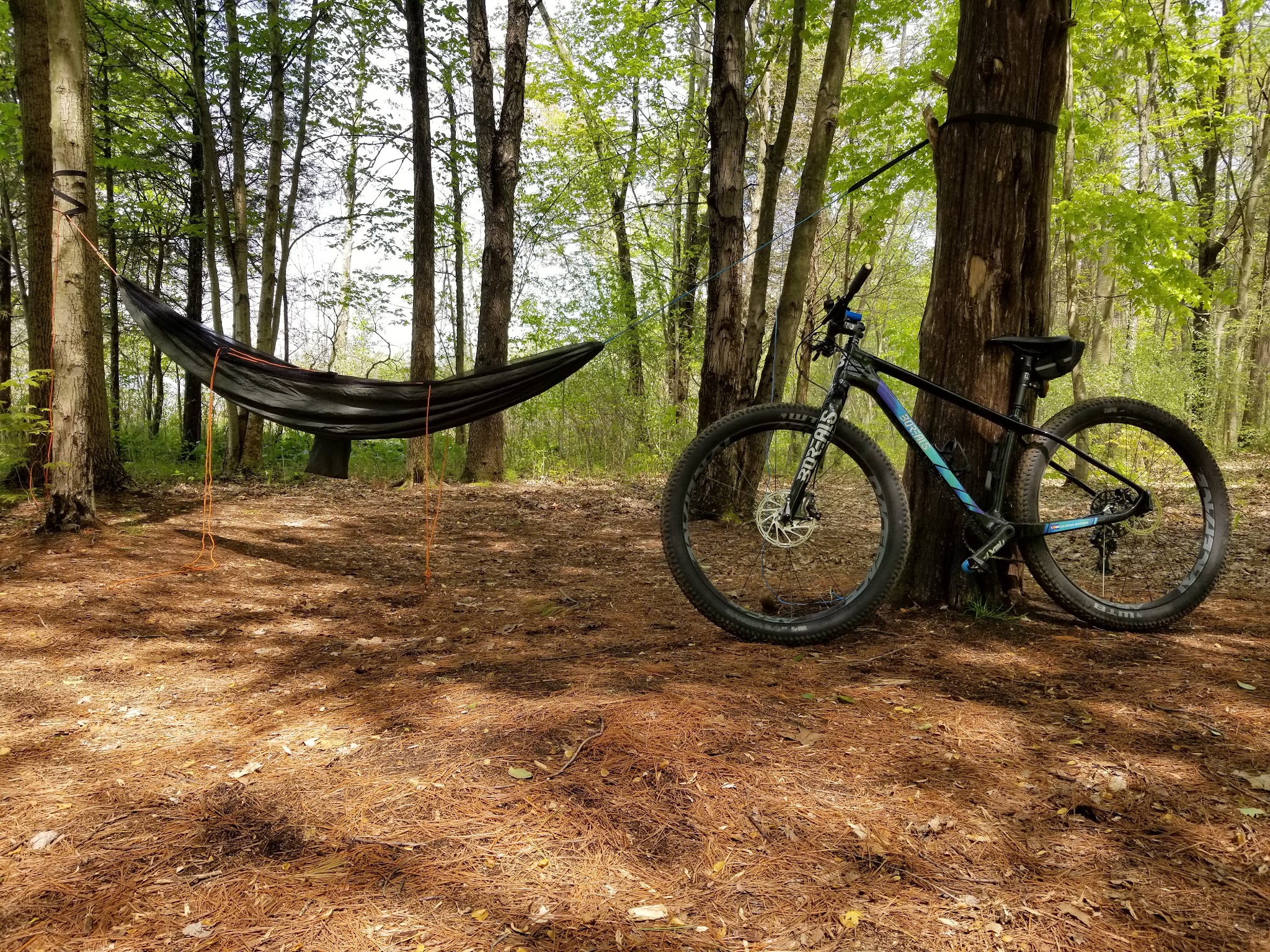 Pinckney Blind Lake Hike-In Camp