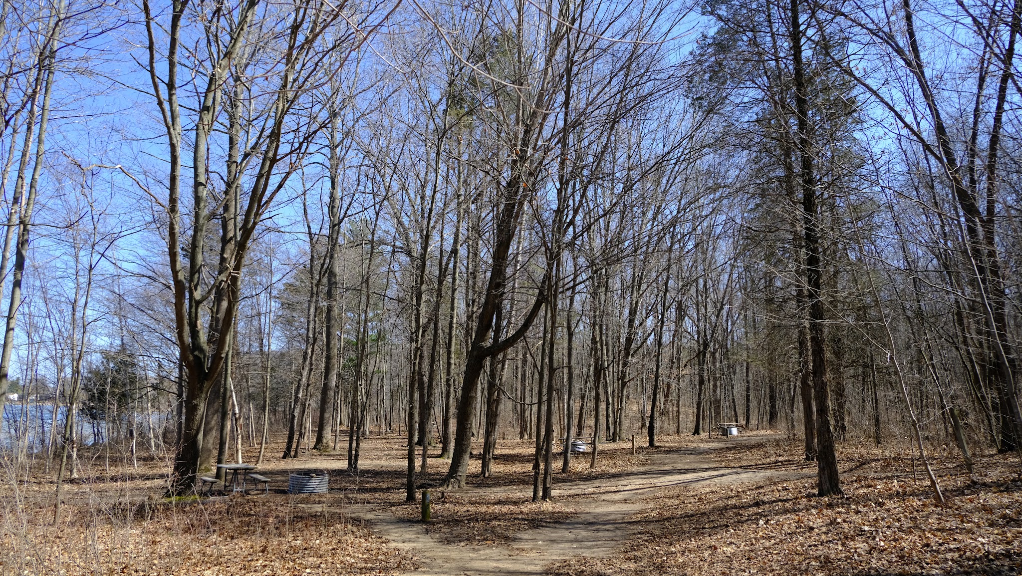 Pinckney Blind Lake Hike-In Camp