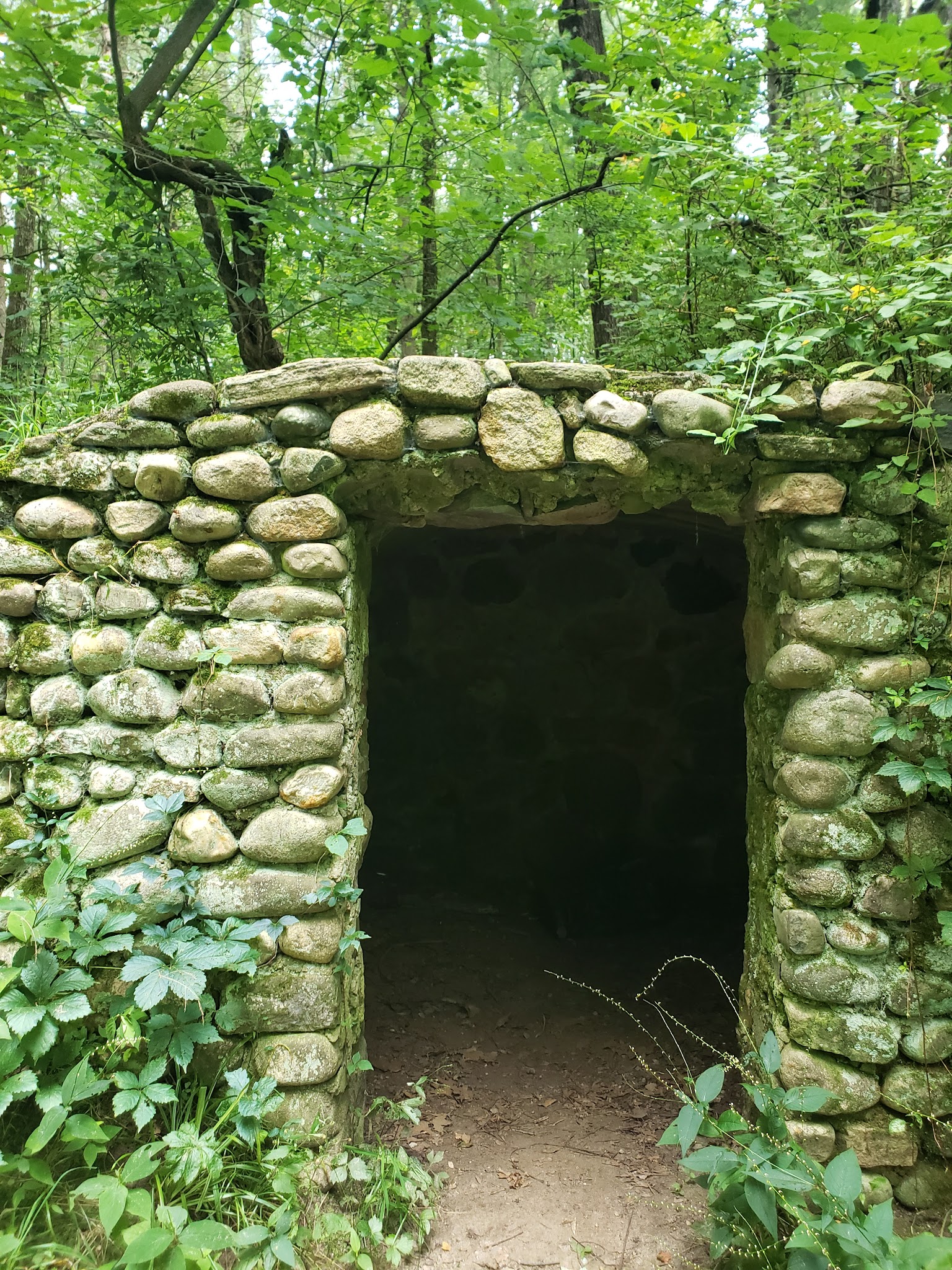 Pinckney Blind Lake Hike-In Camp