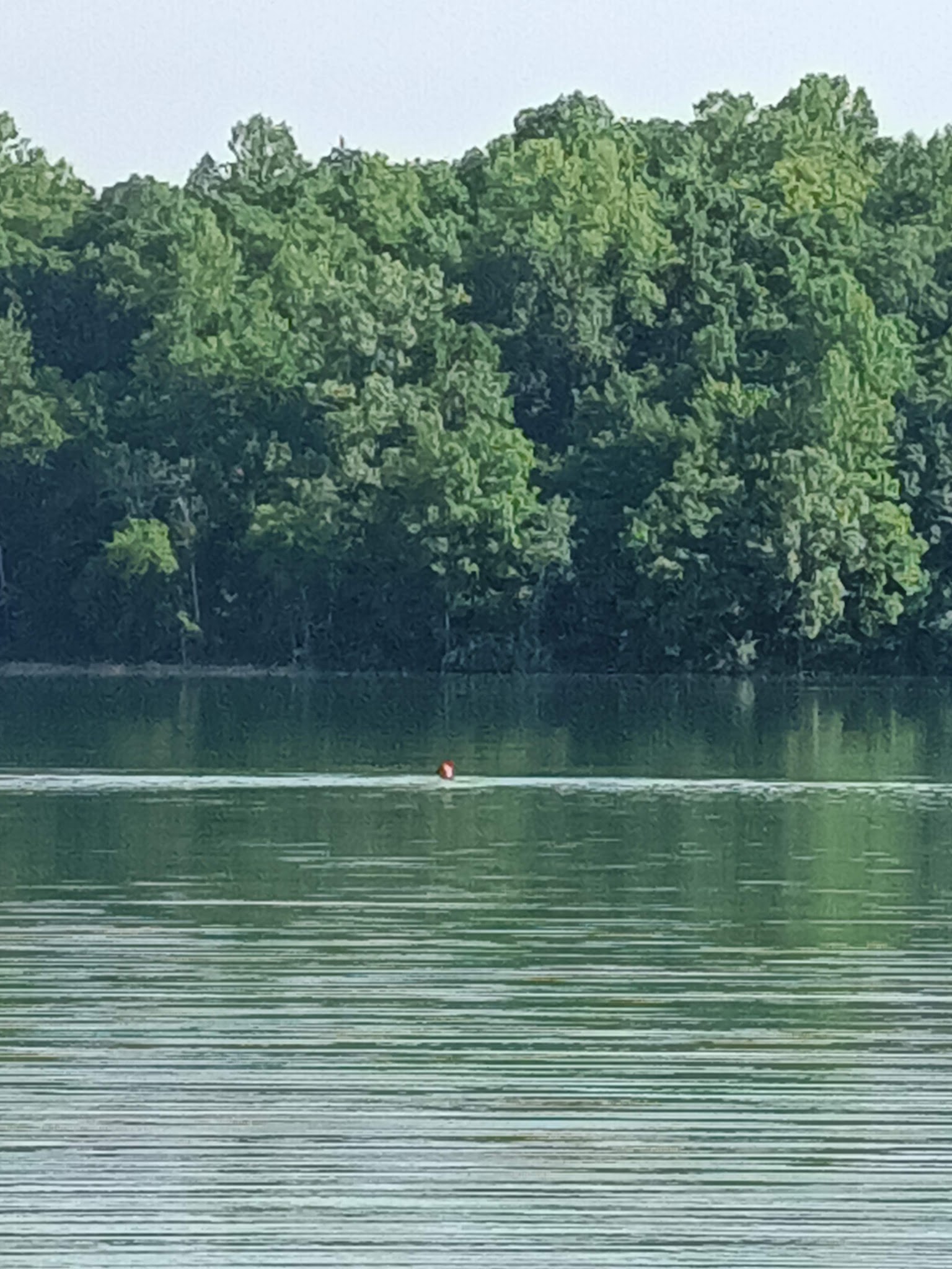 Pinckney Blind Lake Hike-In Camp
