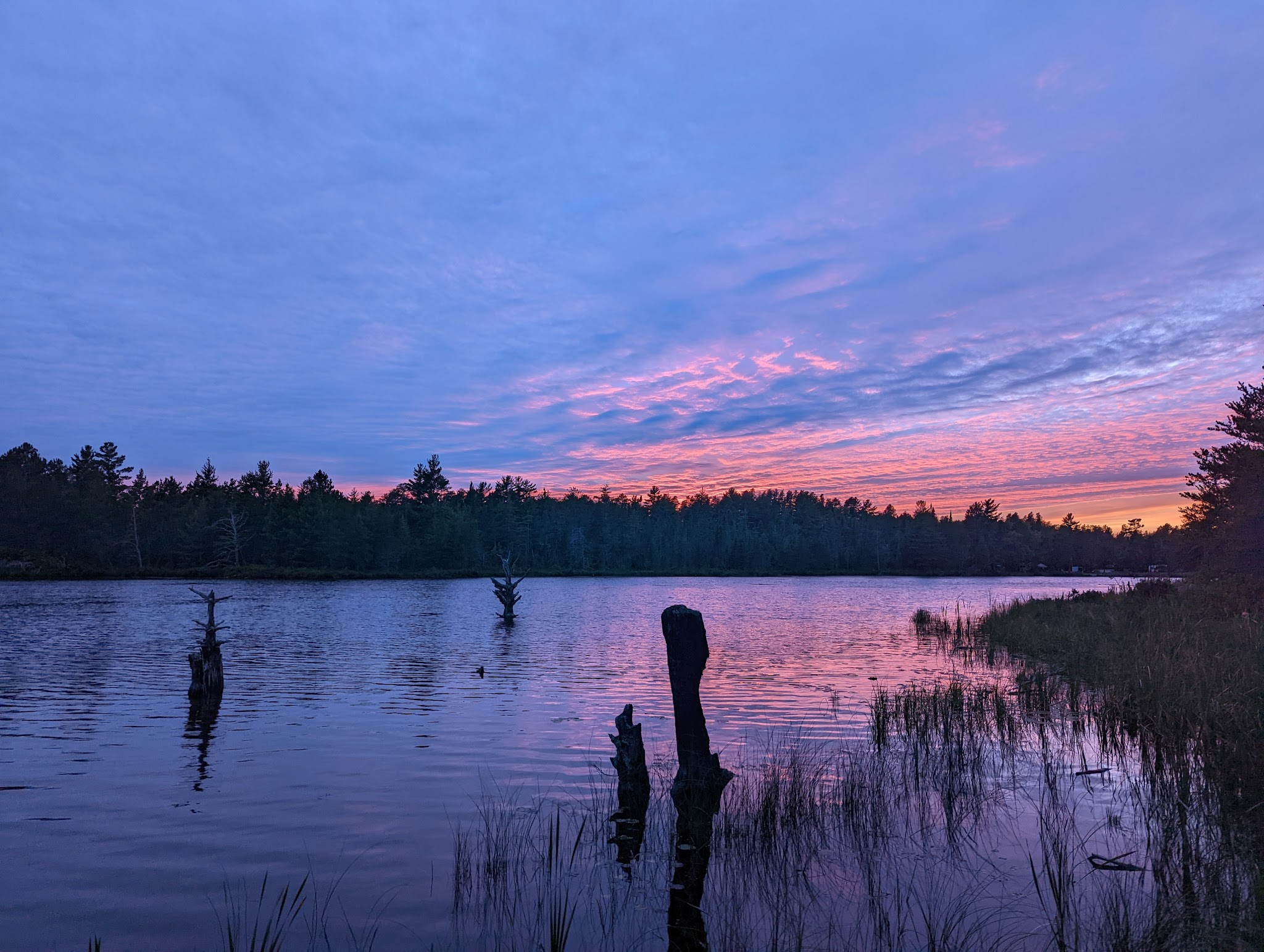 Blind Sucker No. 1 State Forest Campground