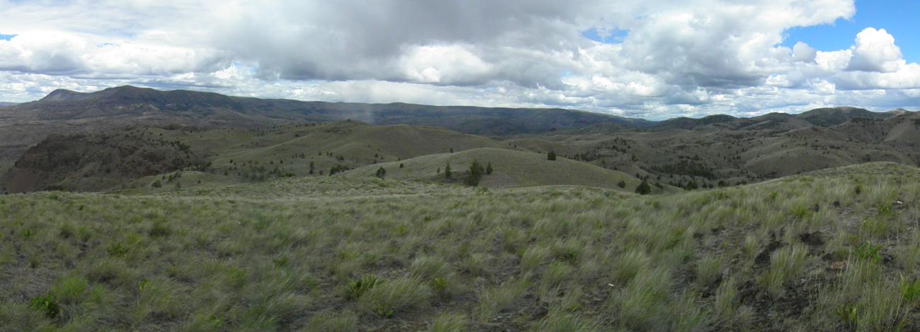 Basin Camp